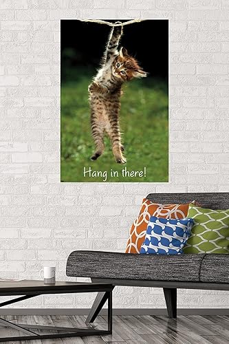 Miniatura 2 de Trends International Póster de pared prémium con diseño de gatito para colgar en allí, 22.375 x 34 pulgadas