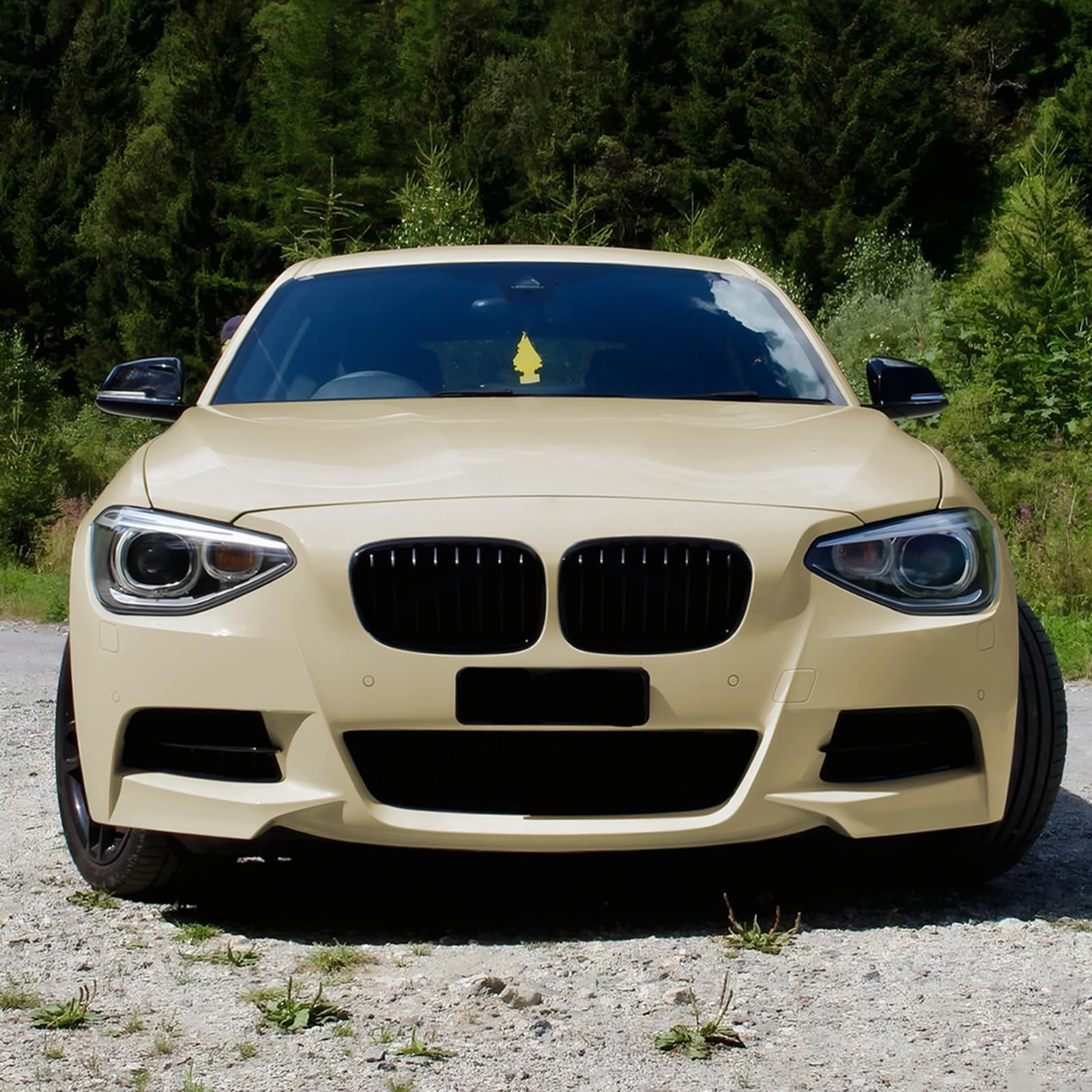 F20 F21 Grille Noire Pour BMW Série 1 F20 F21 114 116 118 120 125 M135 M140 Single Grille 2011 2012 2012 2014 Noir Brillant