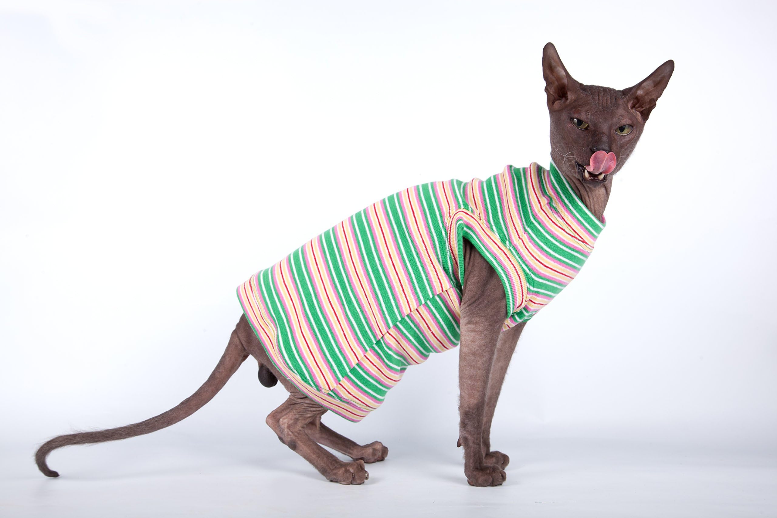 Kotomoda cat wear T-shirt Summer (M-L)