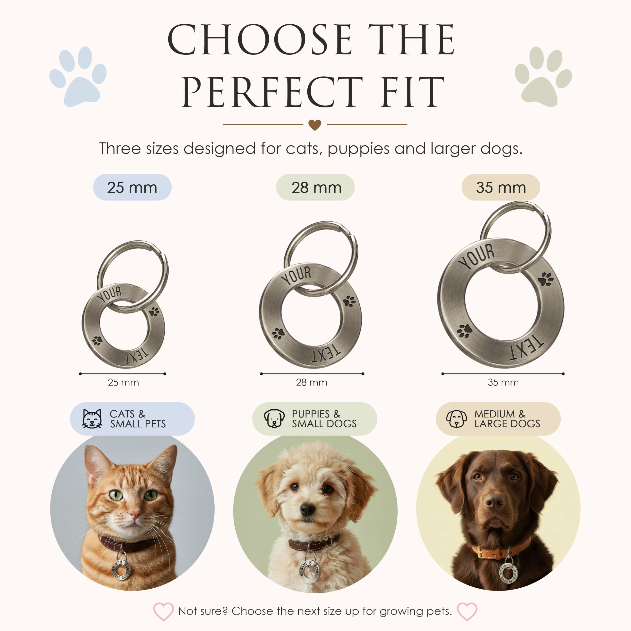 Médaille personnalisée pour animaux de compagnie – Bague d'identification gravée profonde en acier inoxydable (25 mm, taille S) – Médaille nom durable pour collier de chien ou chat – Fabriqué