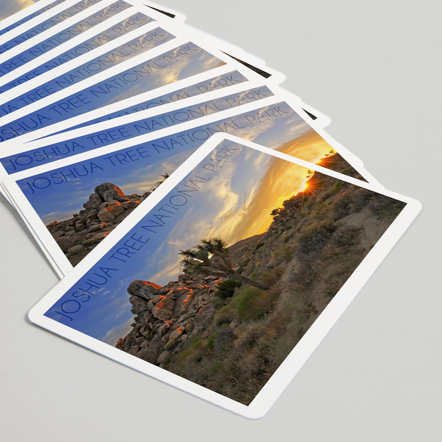 Lantern Press Joshua Tree National Park, California, Sunrise, 52 Playing Cards for Adults, Poker Size Card Deck