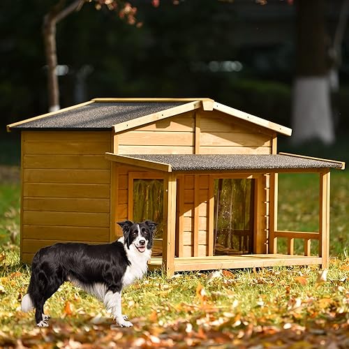 Lifeand Casa de madera para perros de 47.2 pulgadas de largo, para exteriores e interiores, estilo cabaña, con porche, 2 puertas, gris + verde