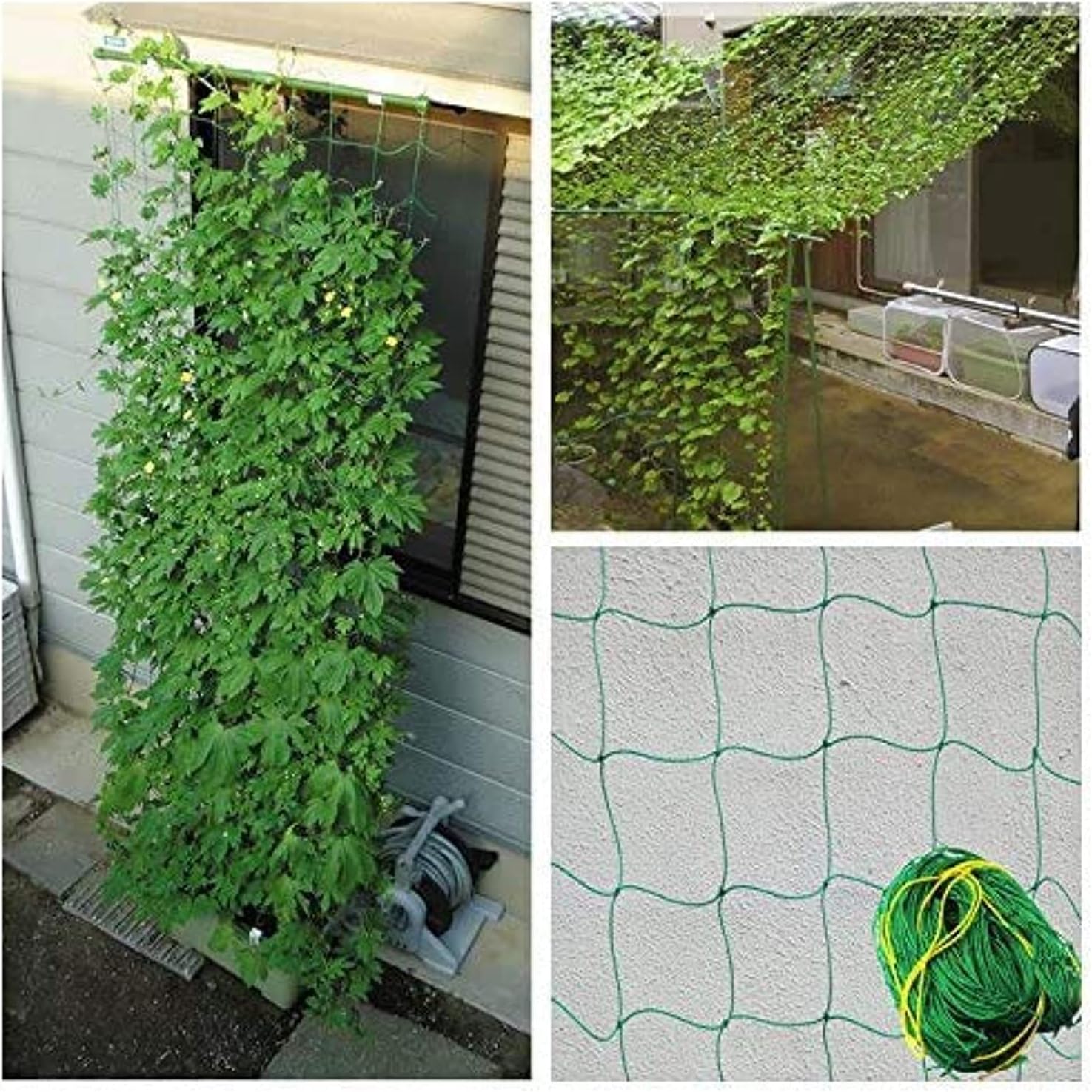 COLIBROX Durable Nylon Trellis Net Netting Plant Support for Climbing Plants 5.9Ft x 11.8Ft