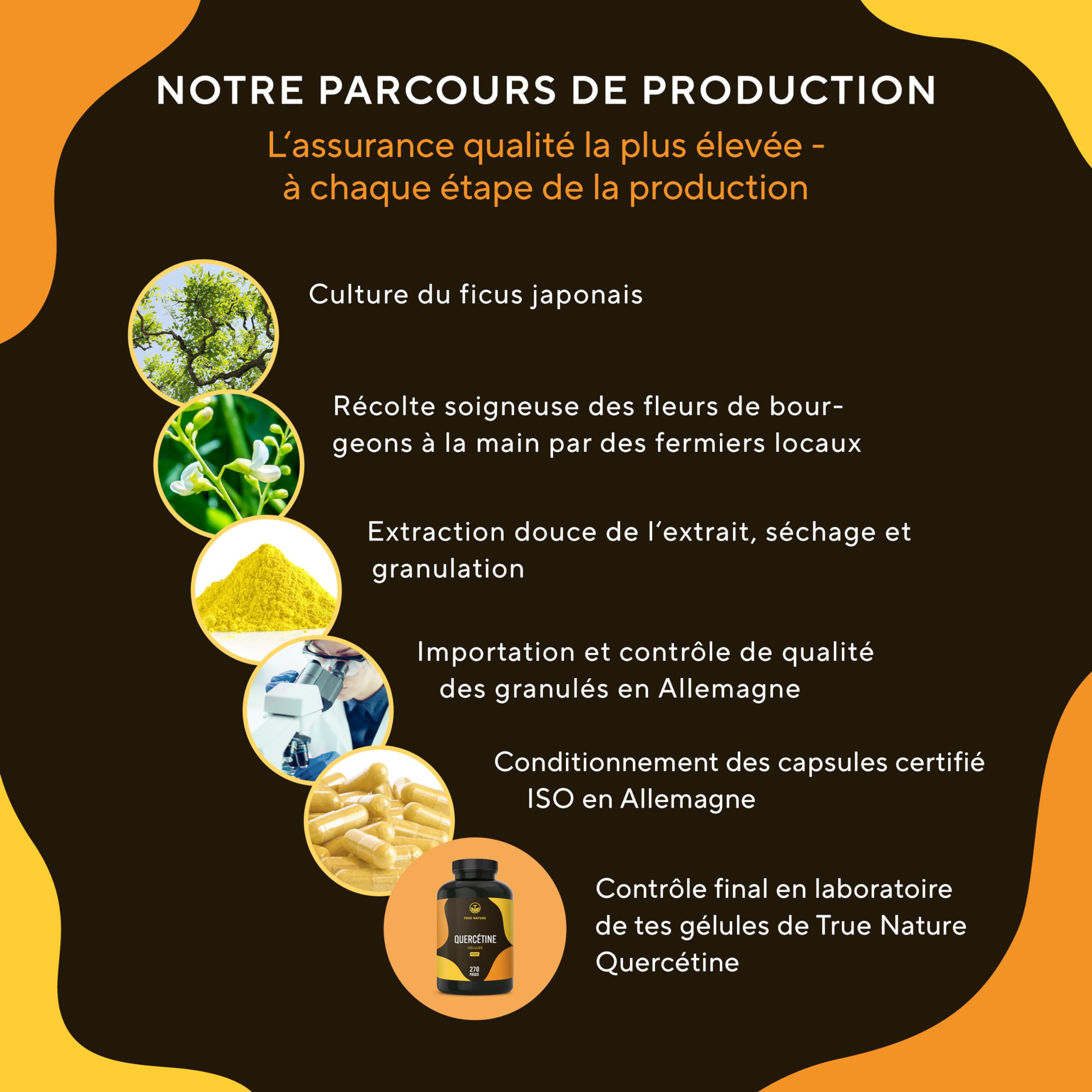 Quercetine 900mg - Antioxydant, Anti-Inflammatoire & Anti-Allergique - 270 Gélules - Extrait de Fleur de Sophora du Japon - Vegan - SANS: Additifs, Gluten & Lactose - TRUE NATURE