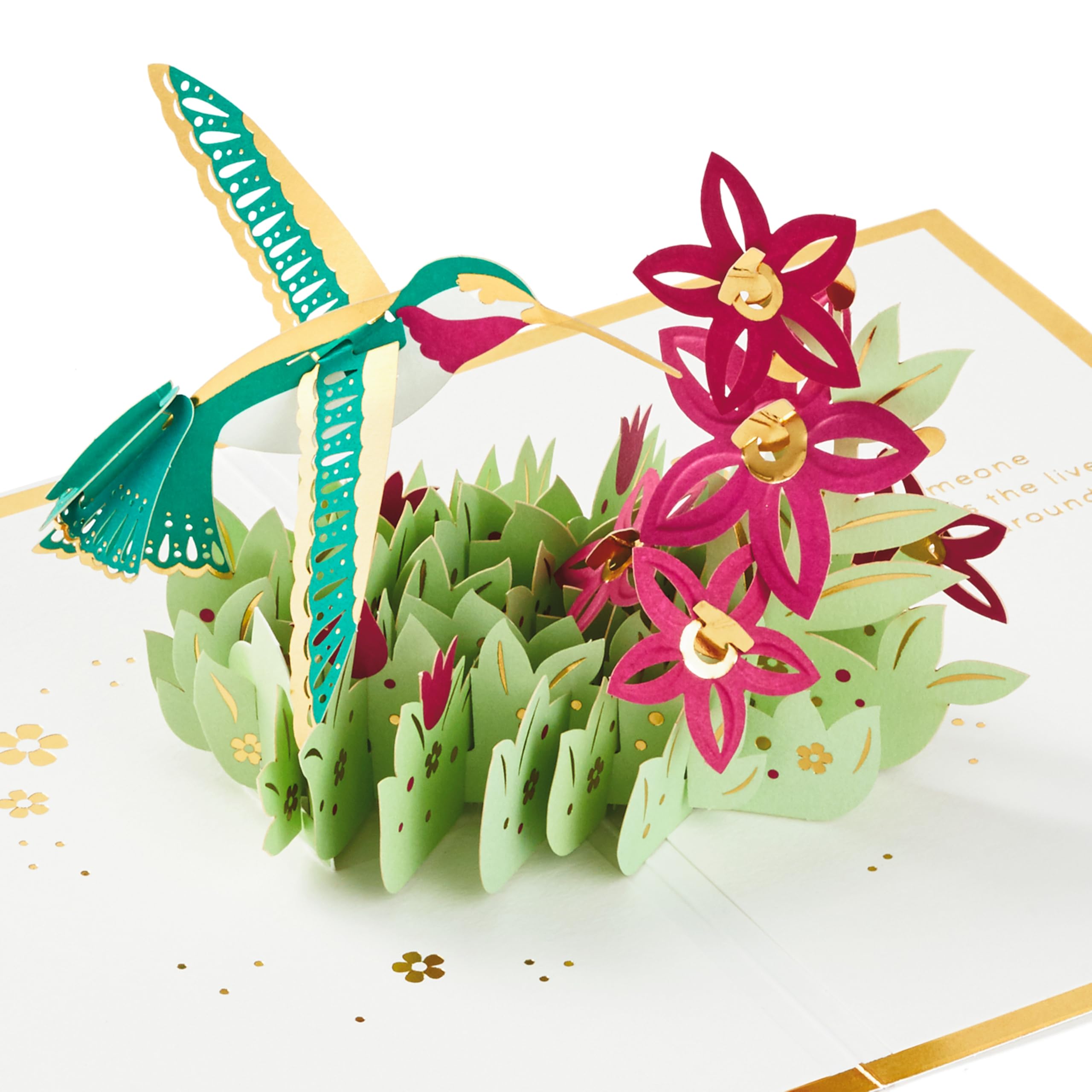 Hallmark Signature Paper Wonder Pop Up Mothers Day Card (Hummingbird)