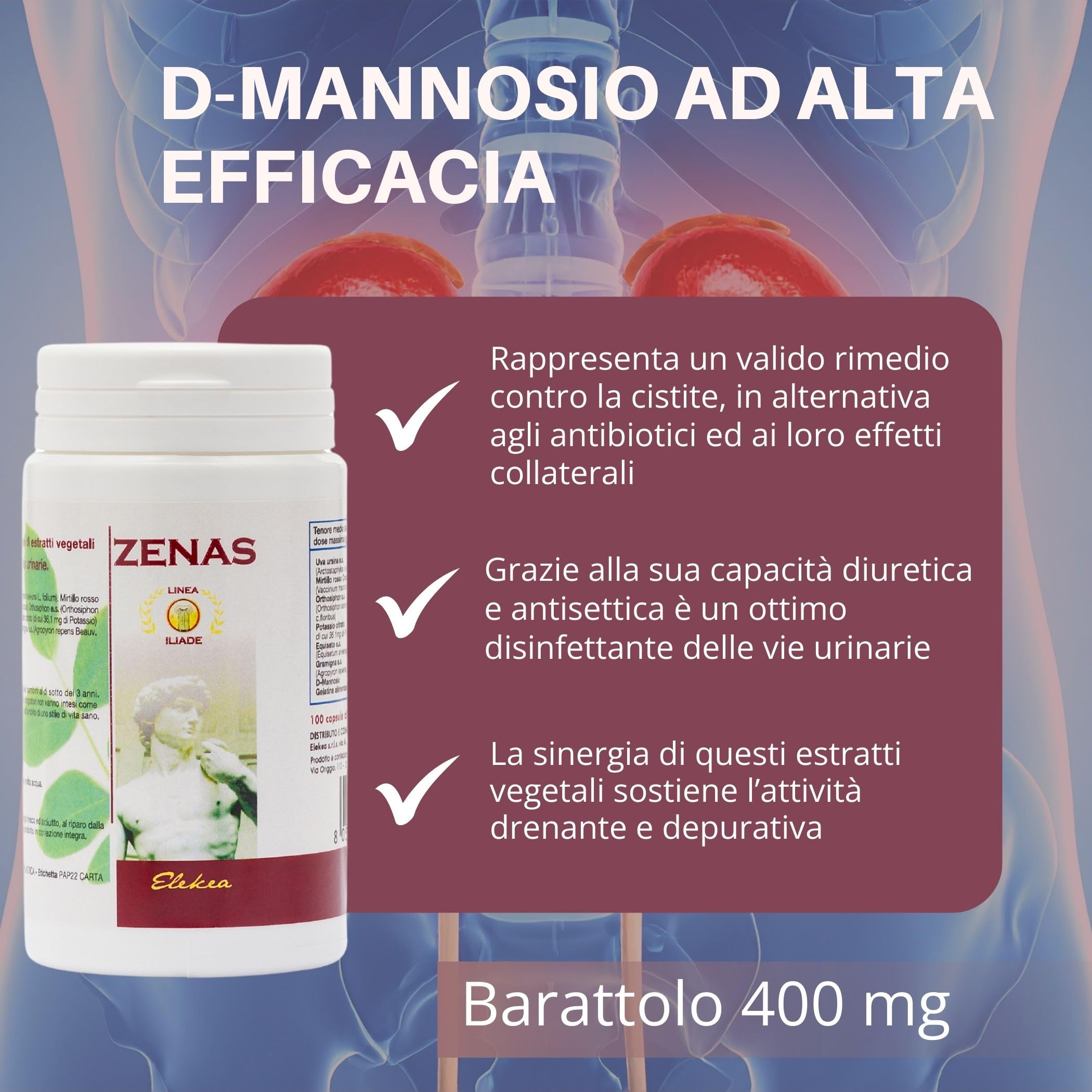 Integratore Cistite Donna con d Mannosio Uva Ursina Mirtillo Rosso e Ortosiphon, azione Naturale Antibatterica e Depurativa - 100 Capsule Vegetali