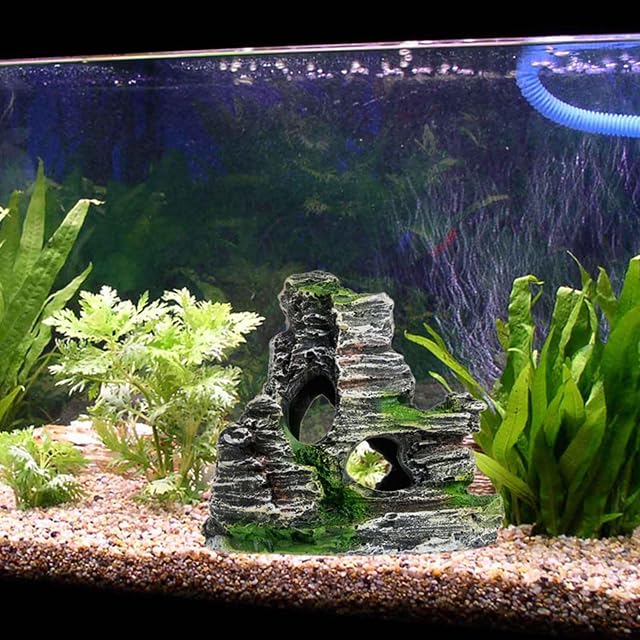 Foto 5 de 8 de Bavokon Piedra Acuario, Acuario para peceras