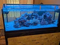Review Image by Amazon Customer