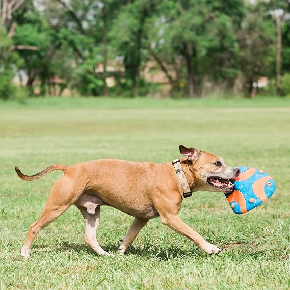 Chuckit! Whistle Flight Outdoor Dog Fetch Toy, Orange/Blue, 10.6 x 1.2 x 11.1, For Medium to Large Dogs