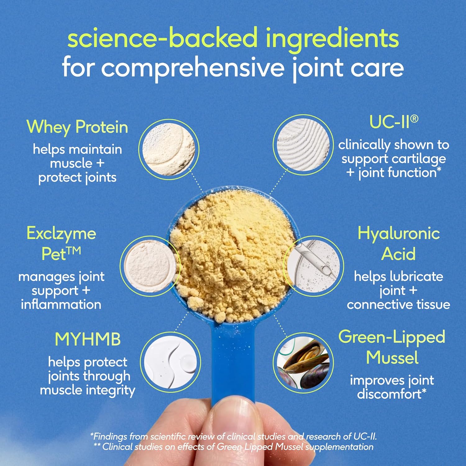 Native Pet Hip & Joint Advanced Care Dog Joint Supplement Powder for Mobility & Movement Support, Joint Supplement for Dogs with HMB, UC-II Collagen, Green Lipped Mussel & Hyaluronic Acid-120 Scoops