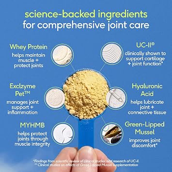 Native Pet Hip and Joint Supplement Dogs - Powder with UC-II Collagen and HMB - Senior and Large Breed Dog Joint Support - Made in USA - 60 Scoops