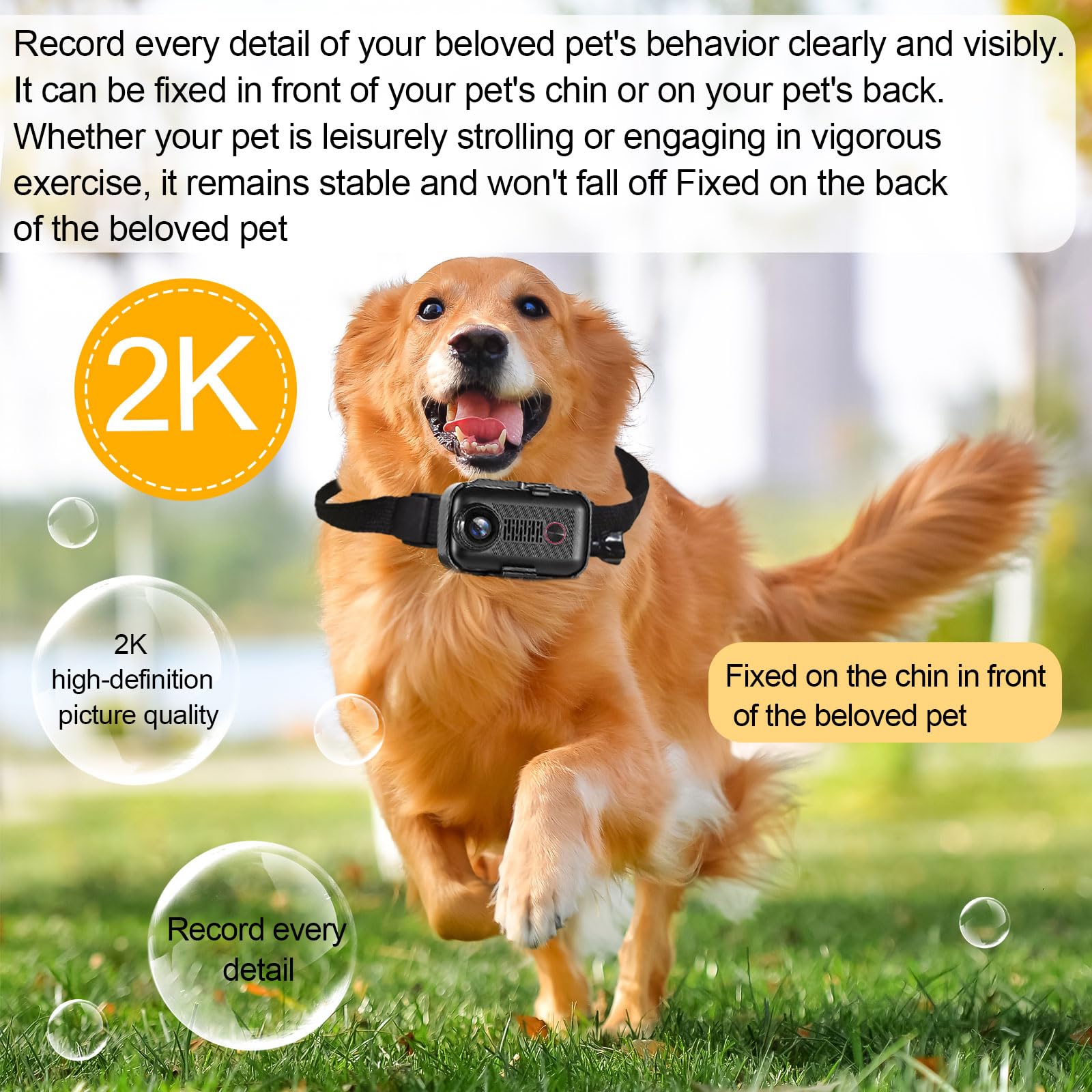 Caméra 2K pour chien et chat - Collier avec carte SD 64 Go - Sans fil