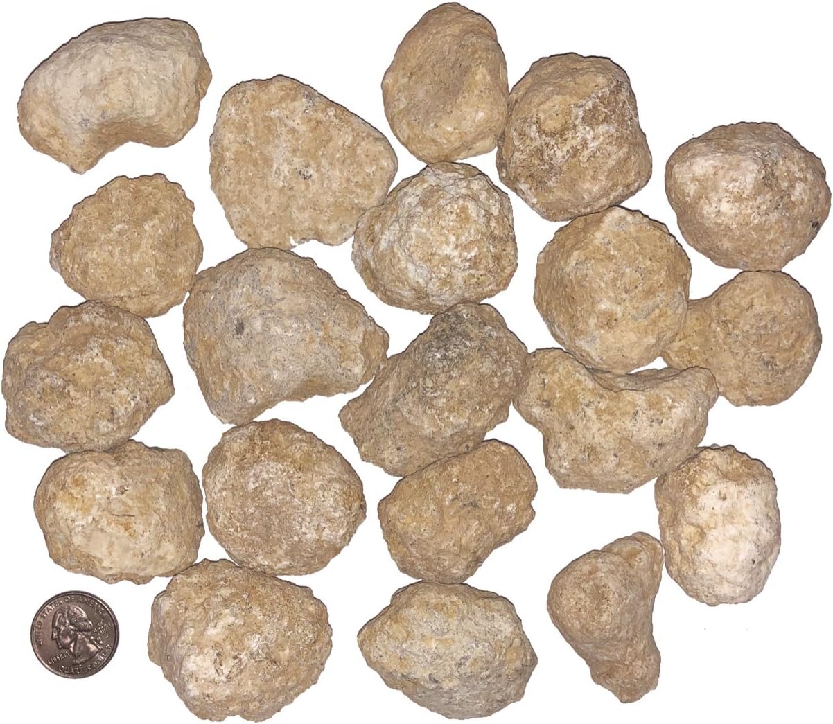 20 Bulk Break Your Own Geodes - Discover Crystals Inside!