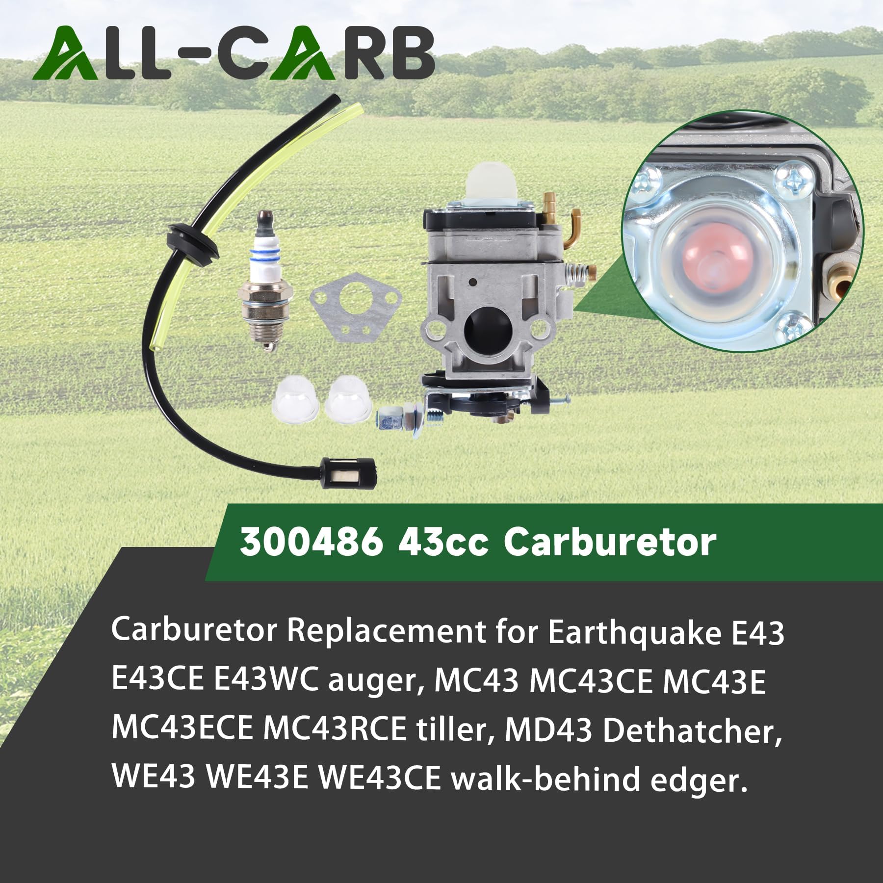 Amazon.com: ALL-CARB 300486 43cc Carburetor with Repair Kit