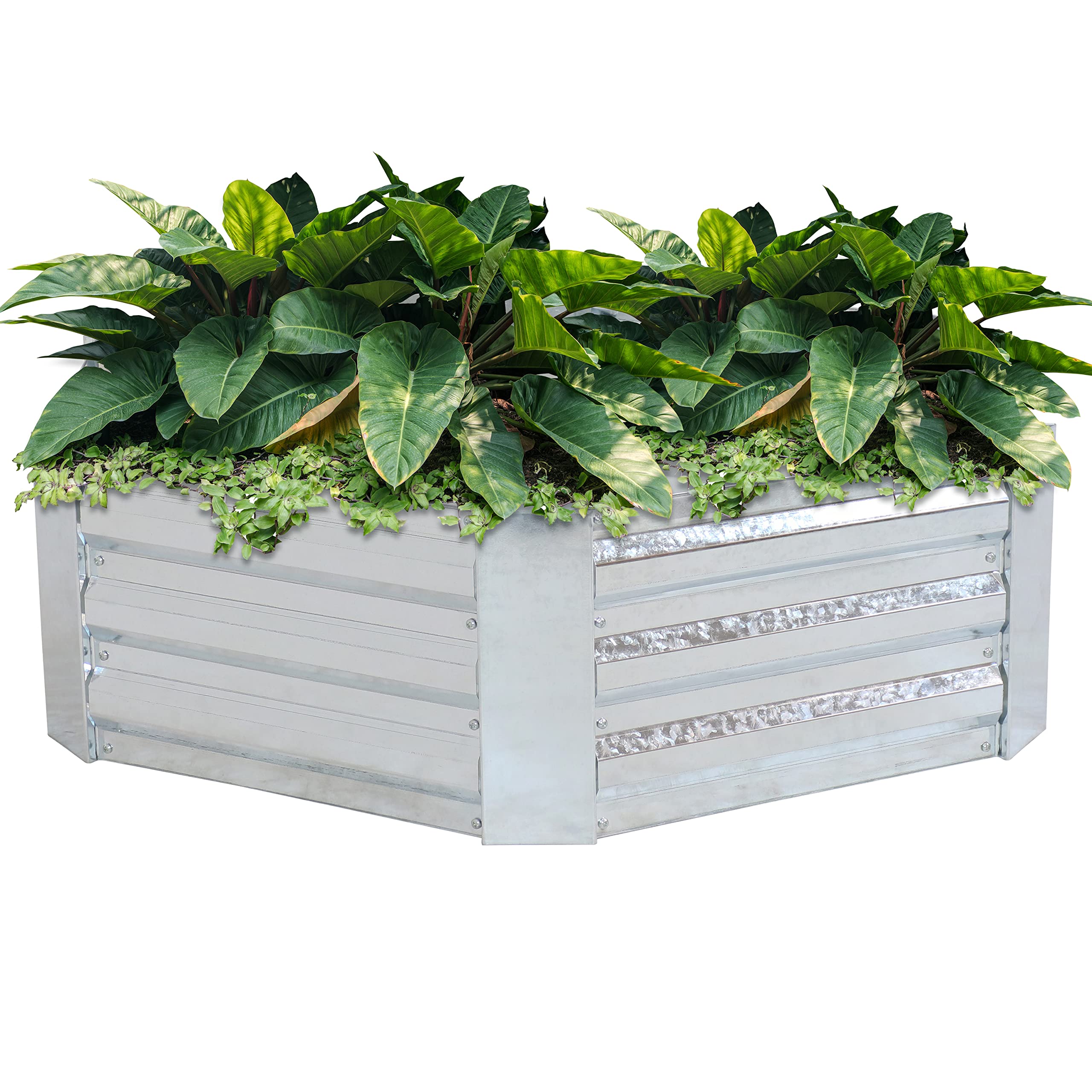 Sunnydaze Galvanized Raised Garden Bed Kit - 4x3x1 ft Hexagon