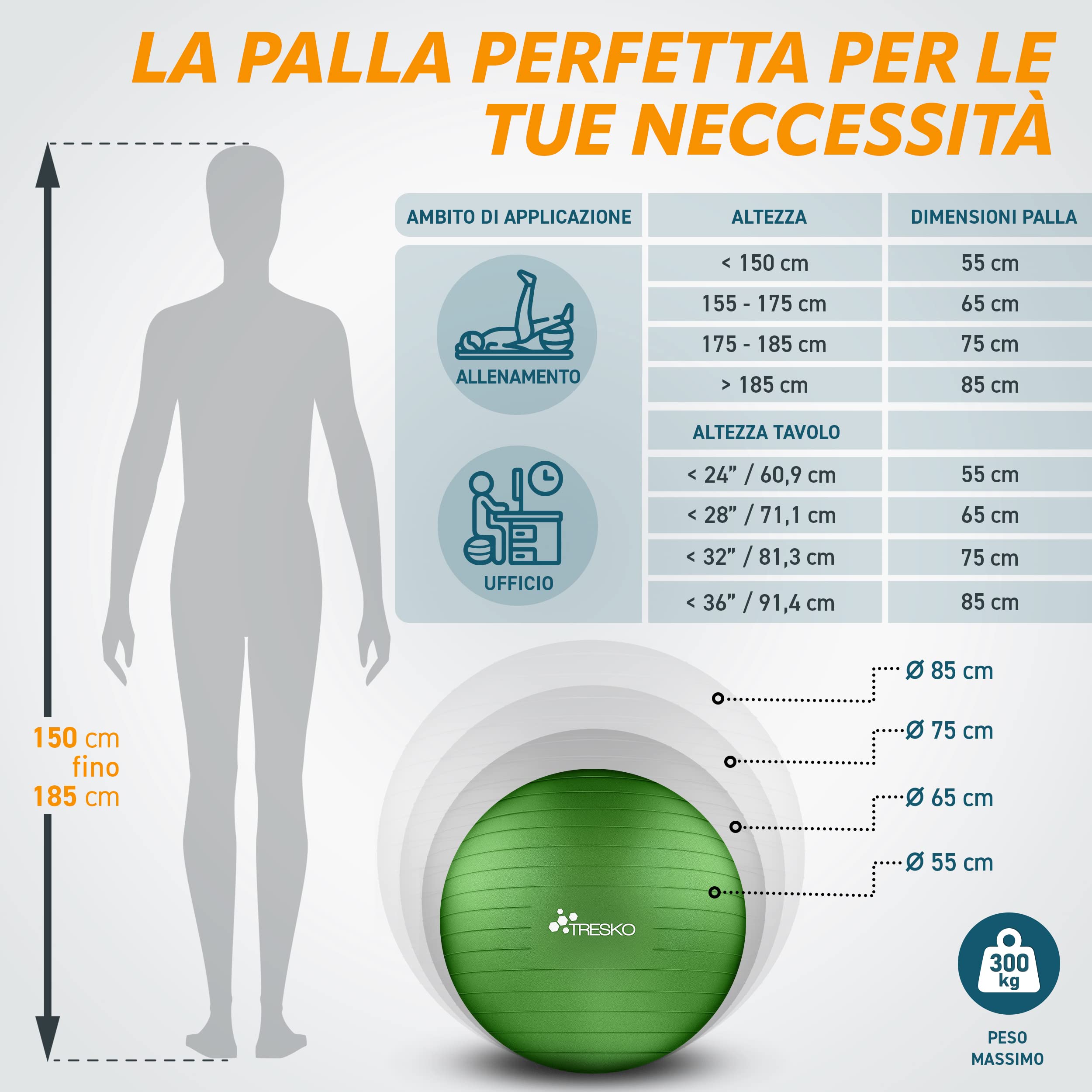 TRESKO Palla Fitness, Palla Pilates Anti-Scoppio 55cm/65cm/75cm/85cm Palla da Ginnastica con Pompa Rapida per Fitness Yoga e Pilates