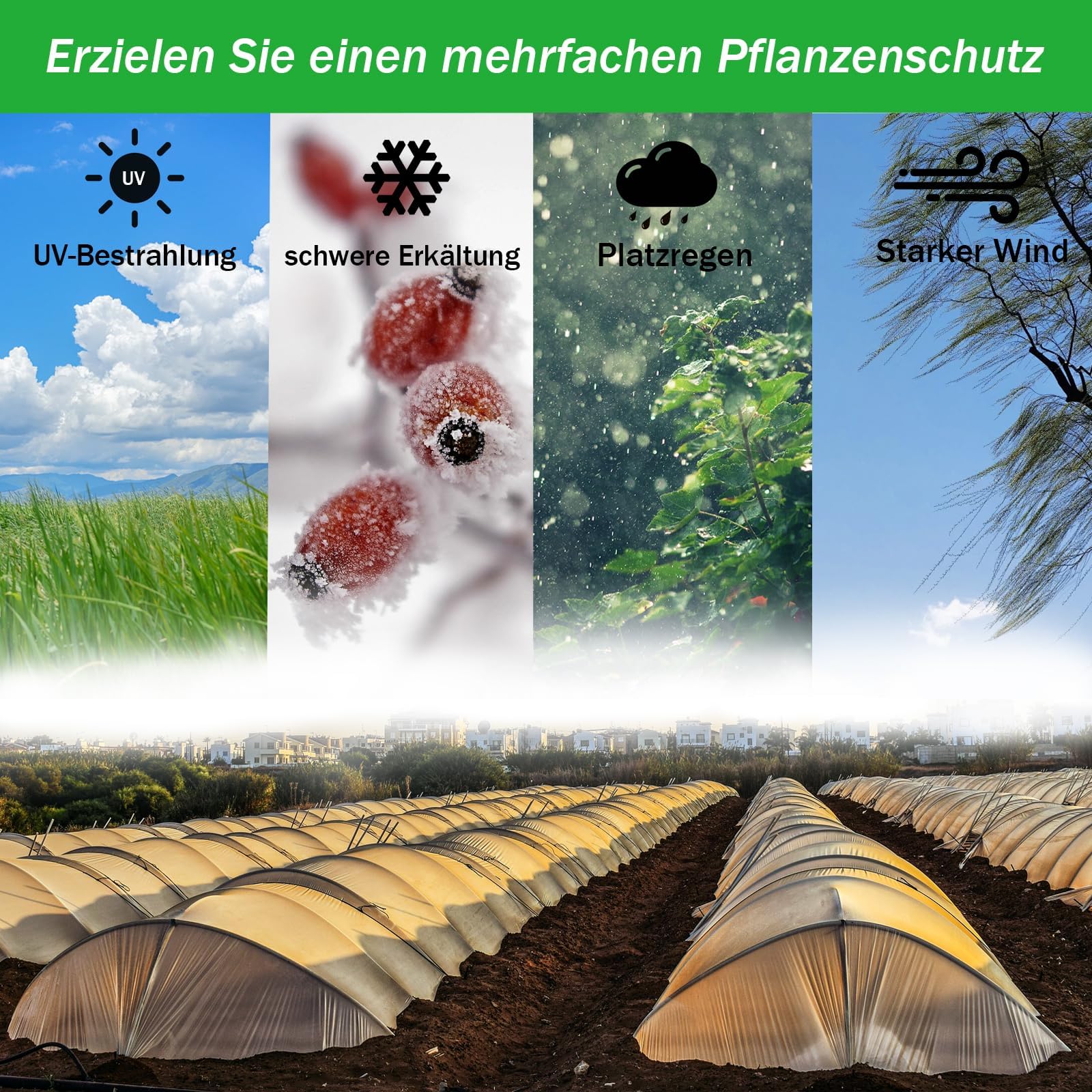 Film Transparente para Invernaderos, Film Transparente 2 x 10 m, Film de Invernadero Resistente al Desgarro, Film Hortícola de Polietileno, Film de Plástico, para Cubrir Verduras y Plantas