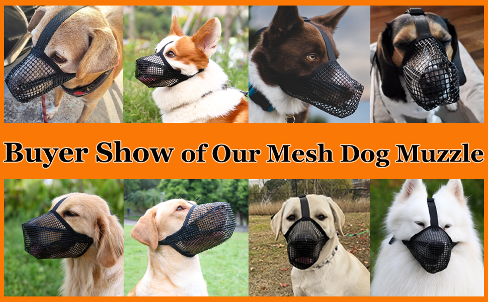 Amazon.com : Crazy Felix Dog Muzzle, Soft Mesh Muzzle for Small