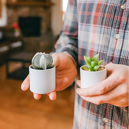 Miniatura 3 de D'vine Dev Paquete de 24 mini macetas de plástico de 2 pulgadas, pequeñas macetas de jardín para plantas con agujeros de drenaje y platillos, color