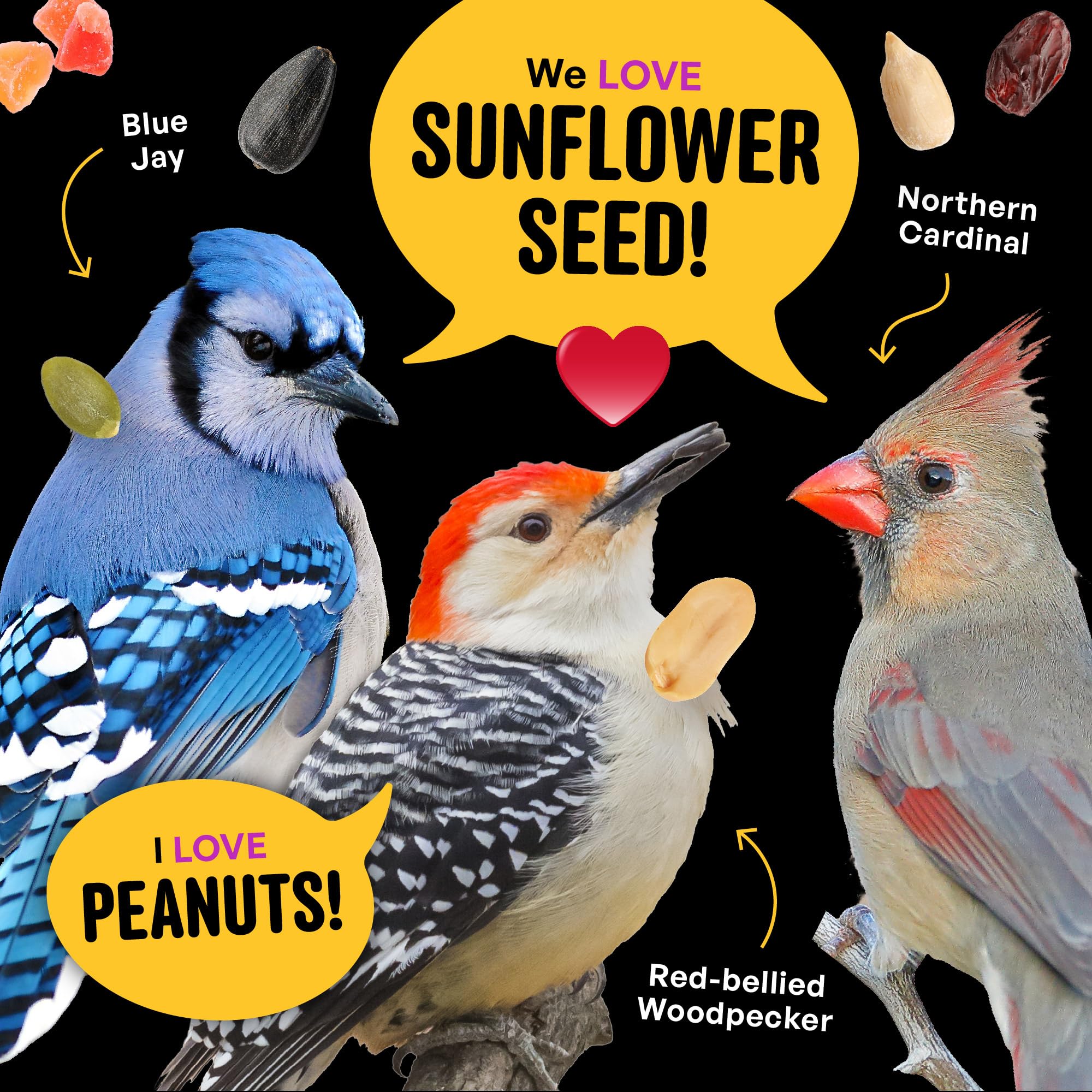 Cool Birds Nut & Fruit - Semi per uccelli selvatici, 4,5 kg, cibo per uccelli gourmet con cuori di girasole, arachidi, noci e frutta vera, senza mais, milo o miglio, per mangiatoie esterne
