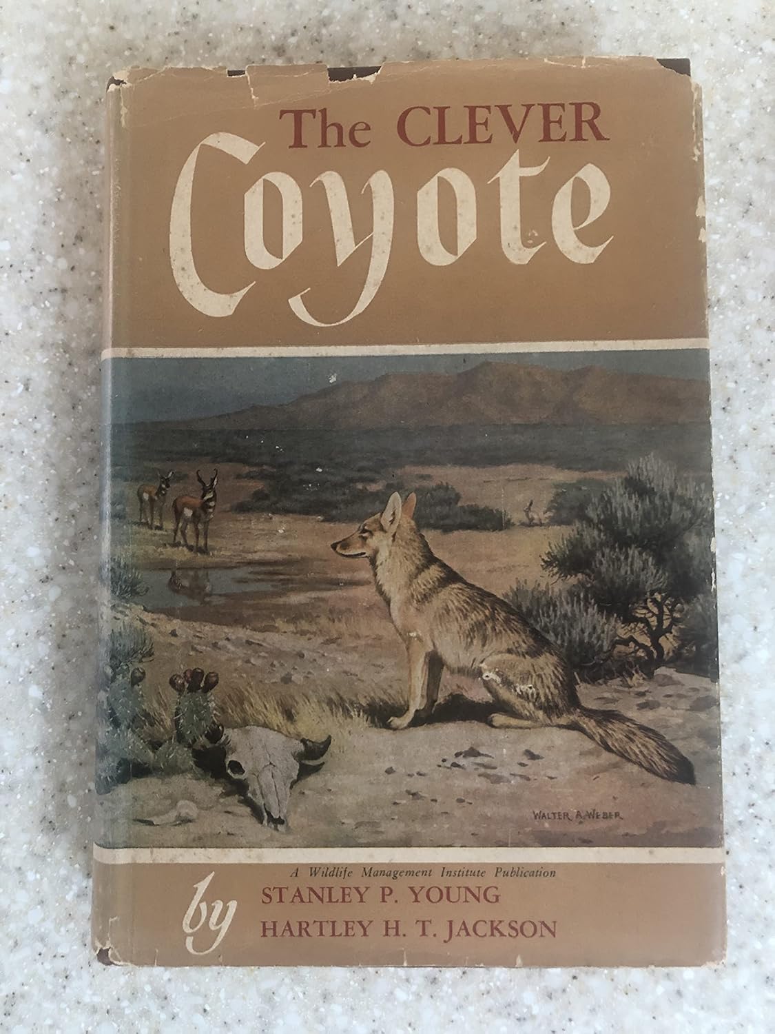 The clever coyote Part I. Its history, life habits, economic status and control, Young