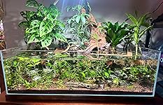 Review Image by MinnesotaRun