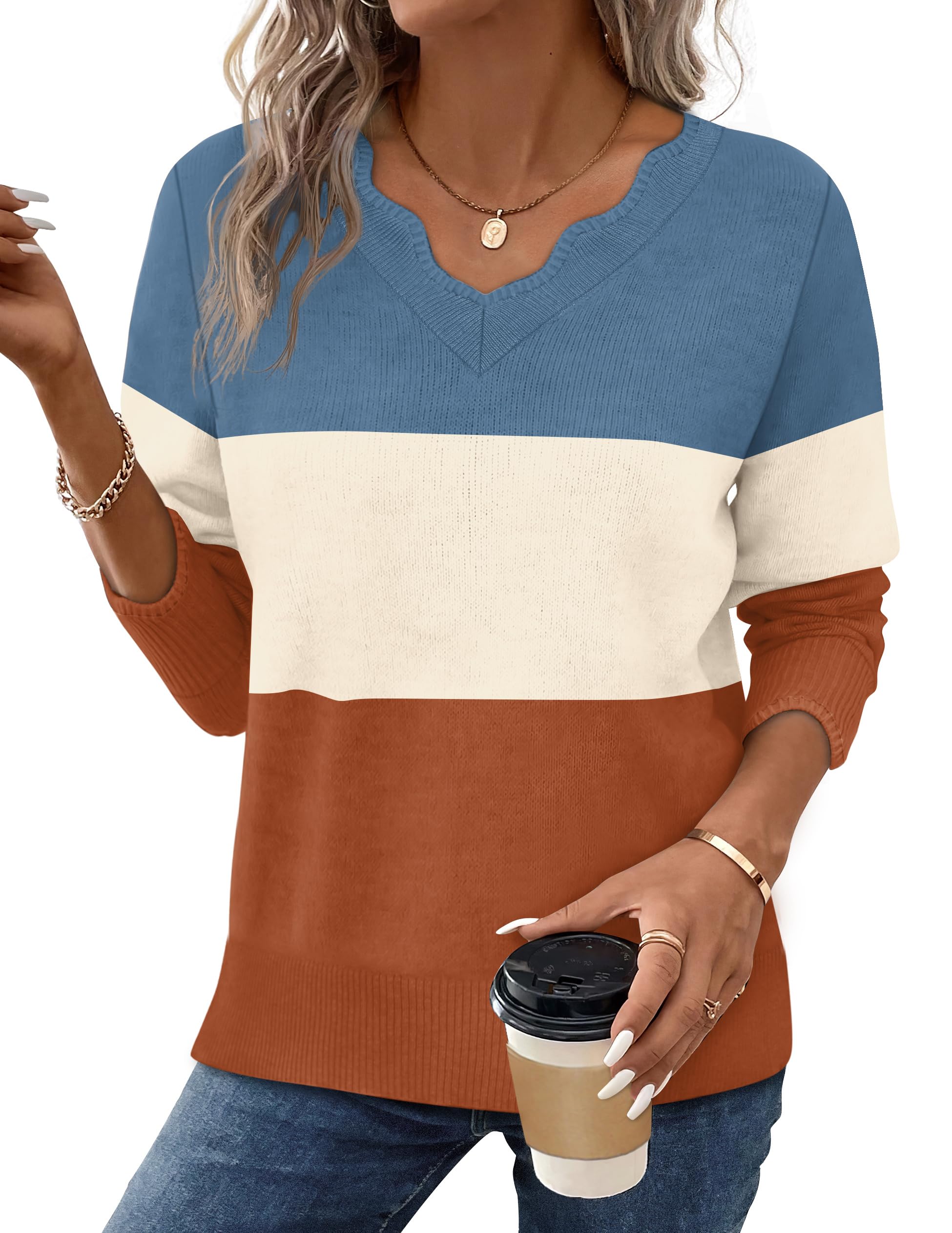 ofeefan Womens V Neck Sweaters Pullover Cozy Lightweight Sweaters Long Sleeve Tops Winter Clothing 2026-picture-25