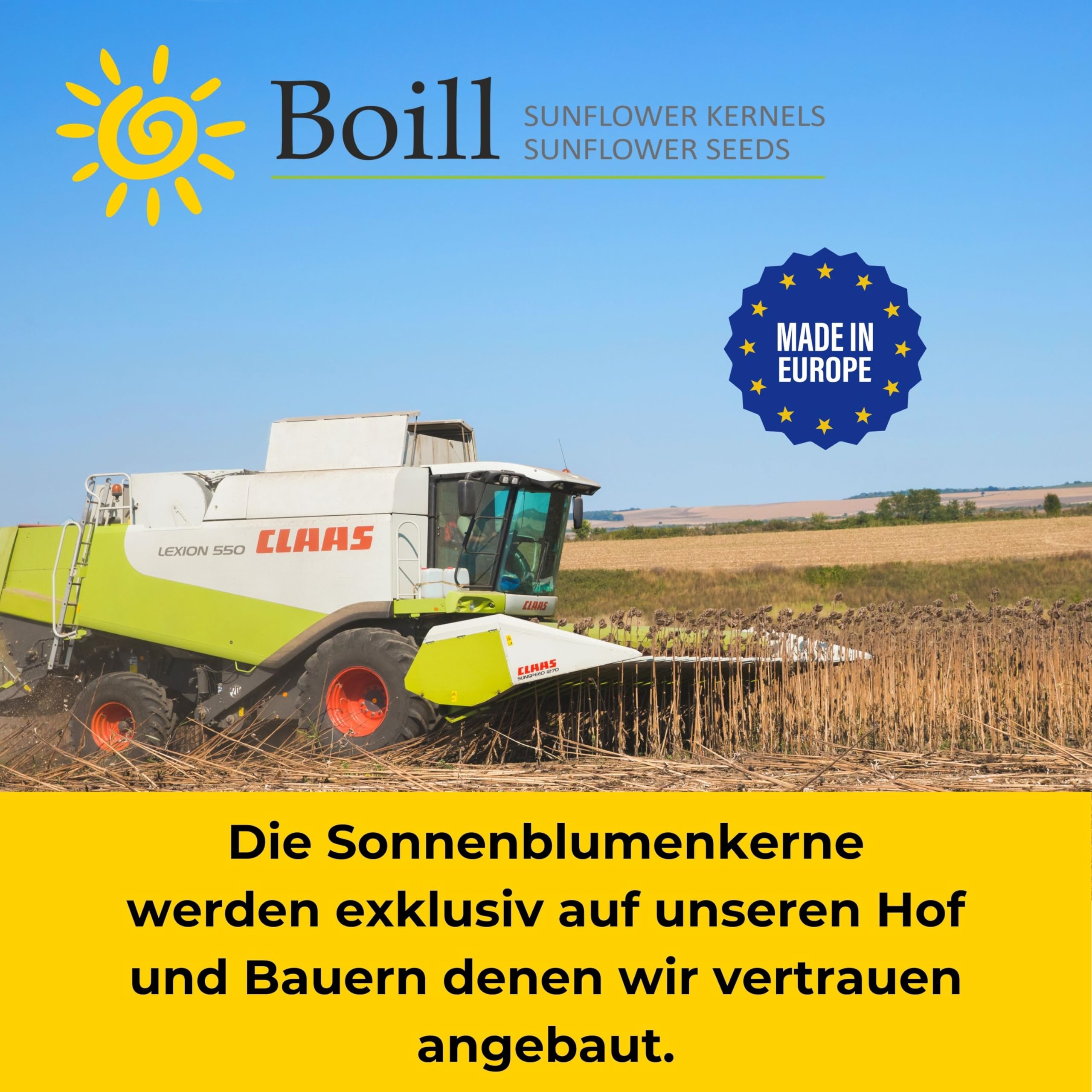 Boill Sonnenblumenkerne geschält 25 kg Premiumware