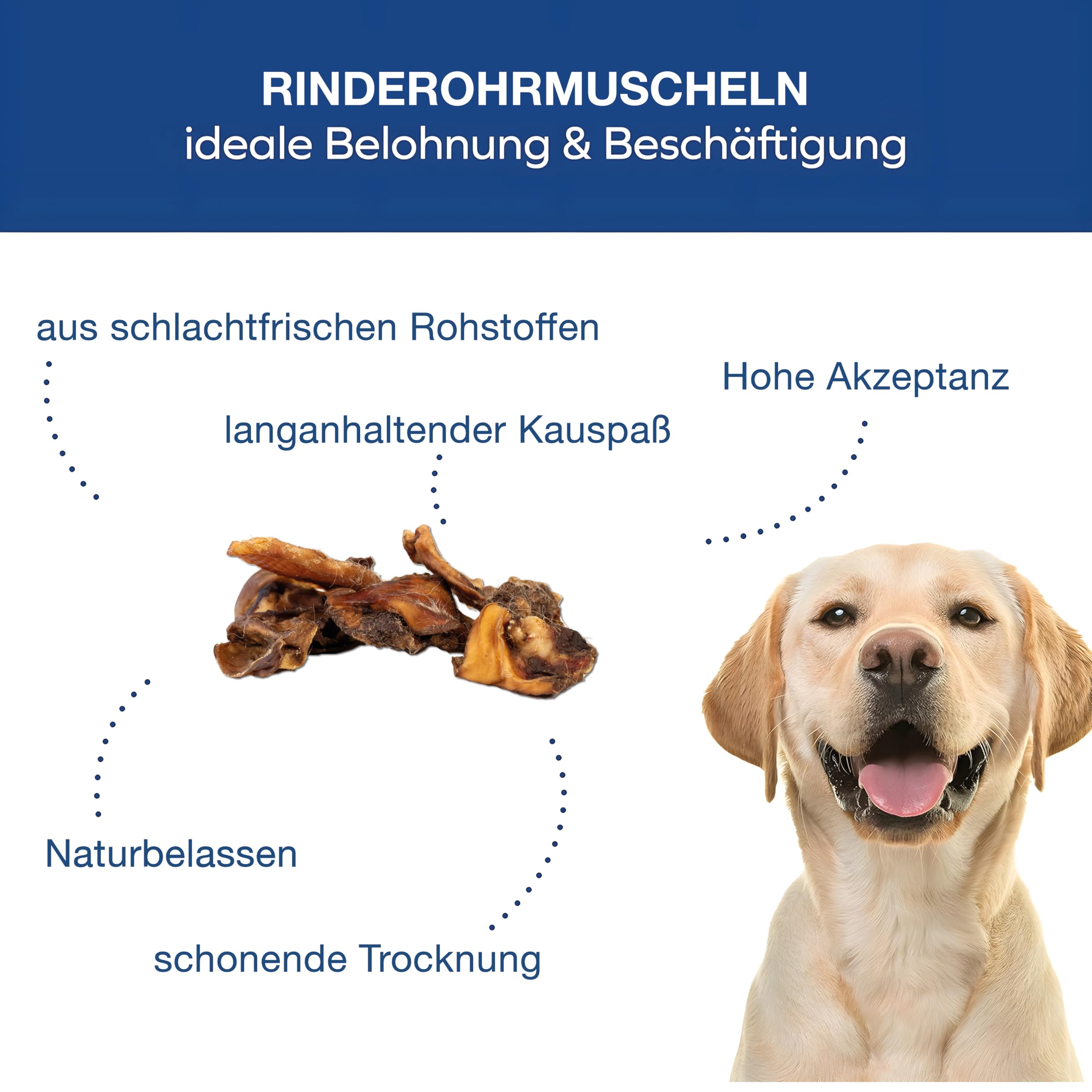 Rinderohrmuscheln getrocknet - Hundeleckerli - Kauknochen und Zahnpflege Hund – 2,5 kg - Hunde Kauartikel