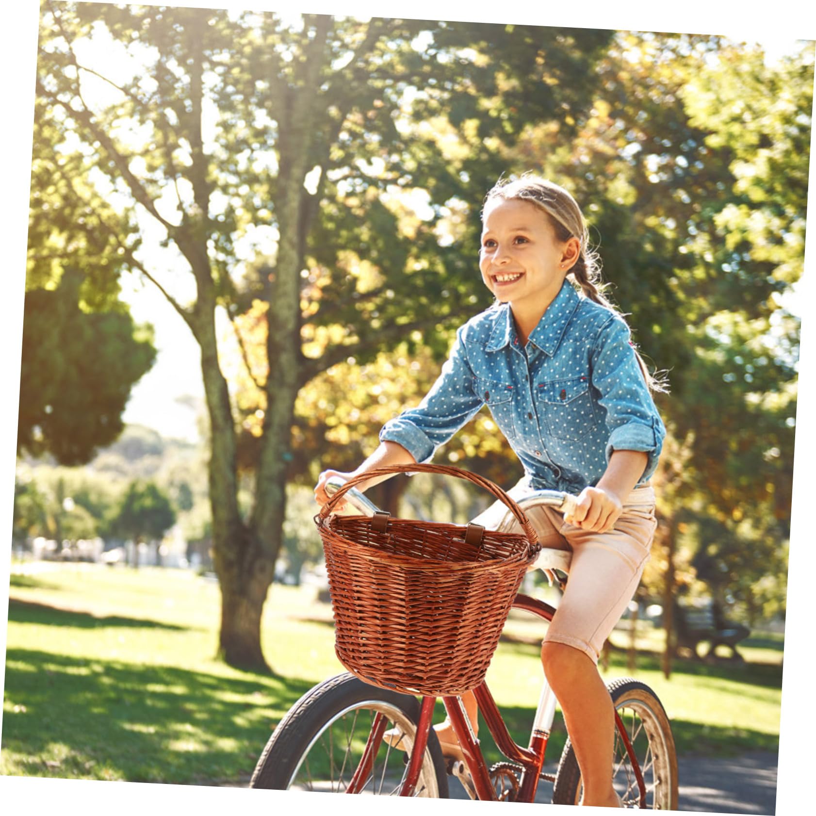 iplusmile Cesta de Mimbre para Bicicleta con Asa, Marrón, Robusta