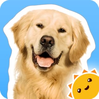 Touch, Look, Listen ~ My First Words