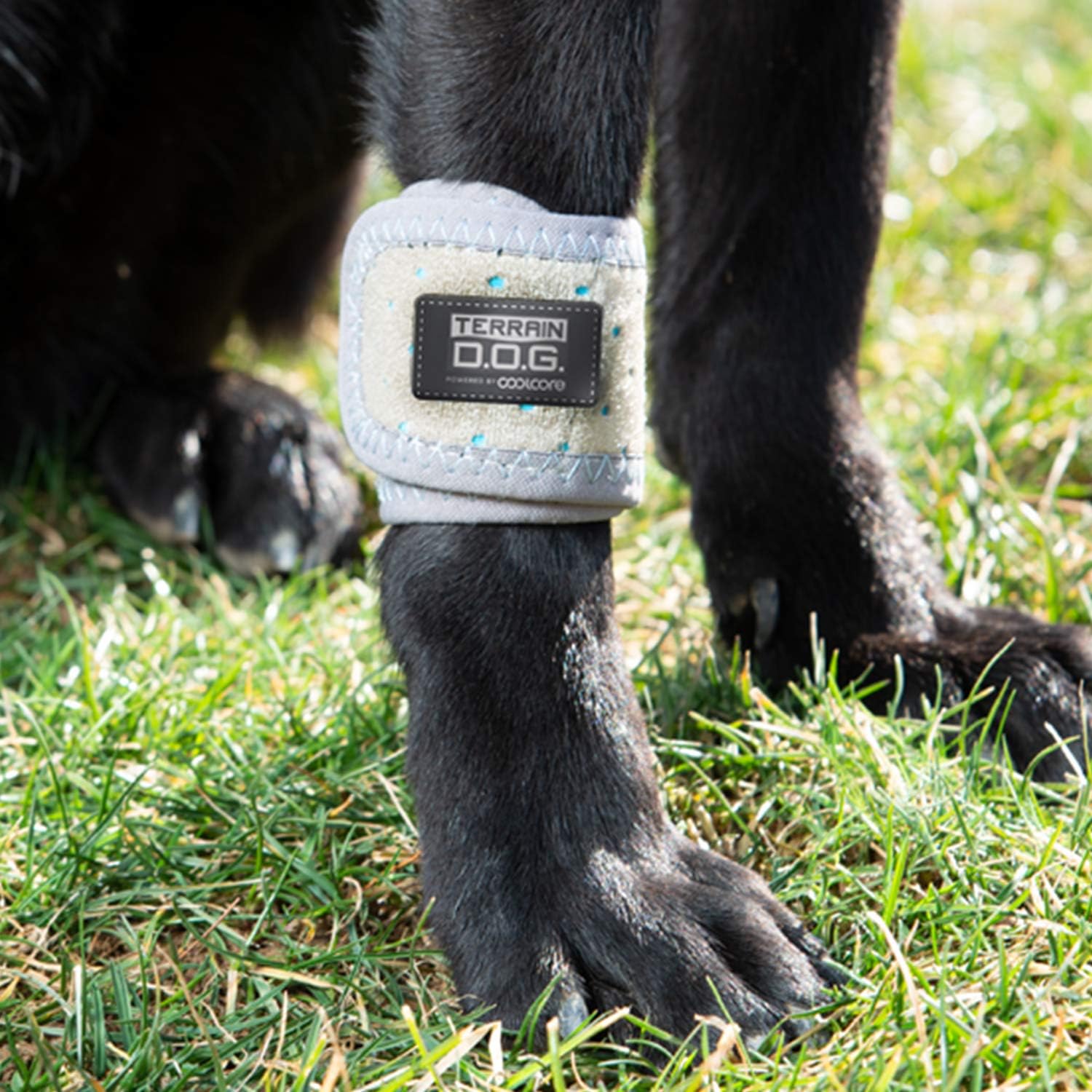 Terrain Dog Cooling Band - Icing and Cooling Therapy for Pet Joints - Machine Washable Wrap with Coolcore Technology