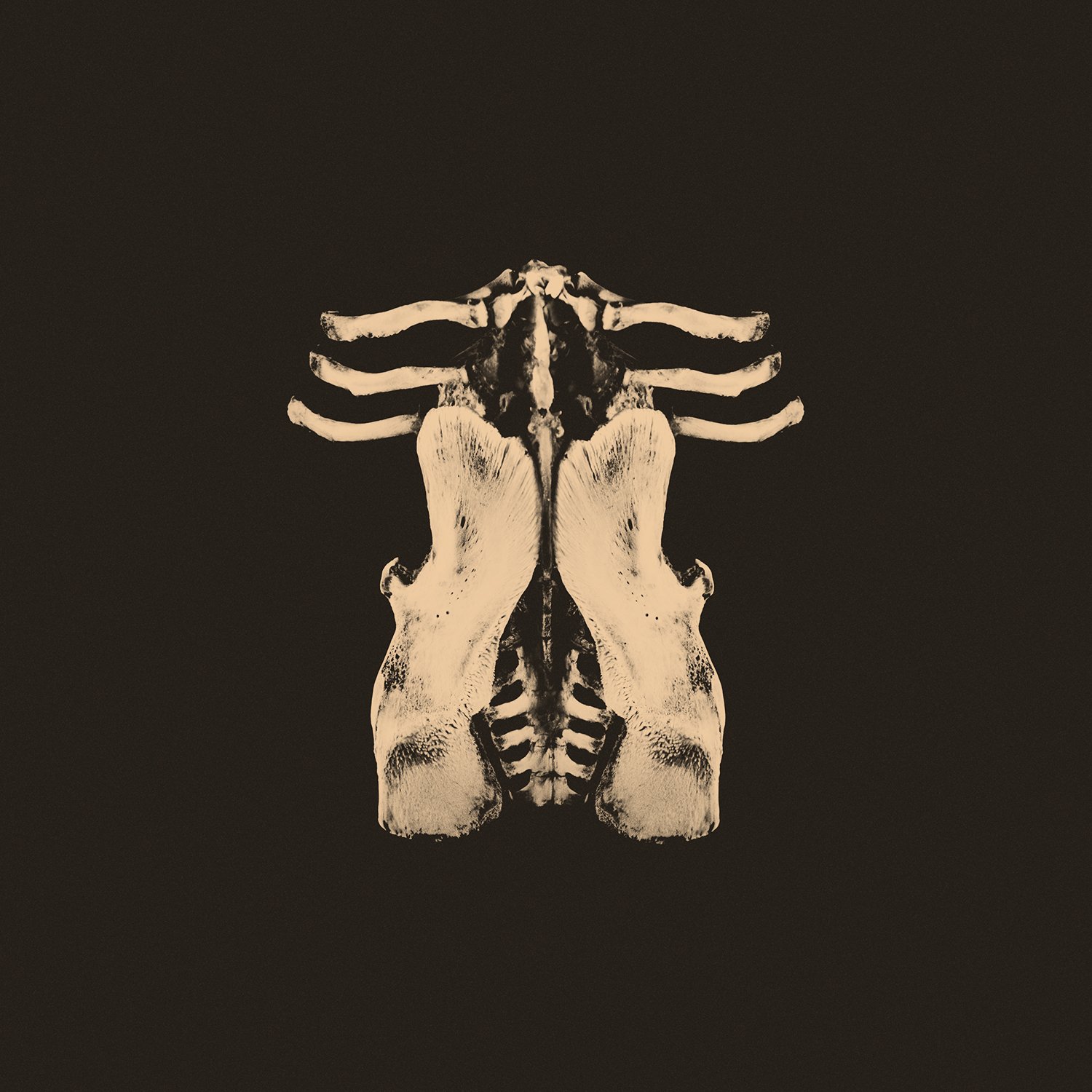 Pansements [Audio CD] Oktoplut