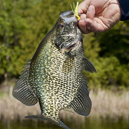 Miniatura 7 de Bass Popper Fly Dry Fly - Kit de moscas de pesca con mosca seca Panfish Bass Fishing Popper Topwater Cebo