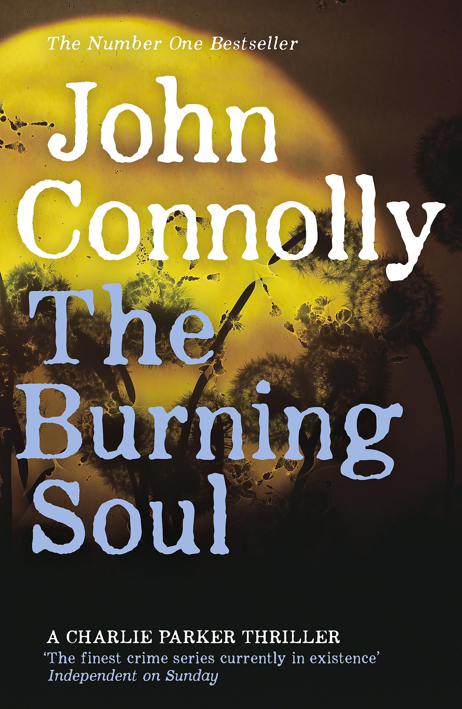 The Burning Soul: A Charlie Parker Thriller: 10: Private... - John Connolly