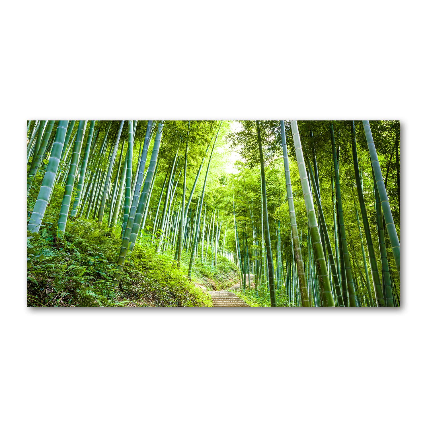 Tableau plexiglas Bosque de Bambú Tulup 120x60cm pour décoration murale