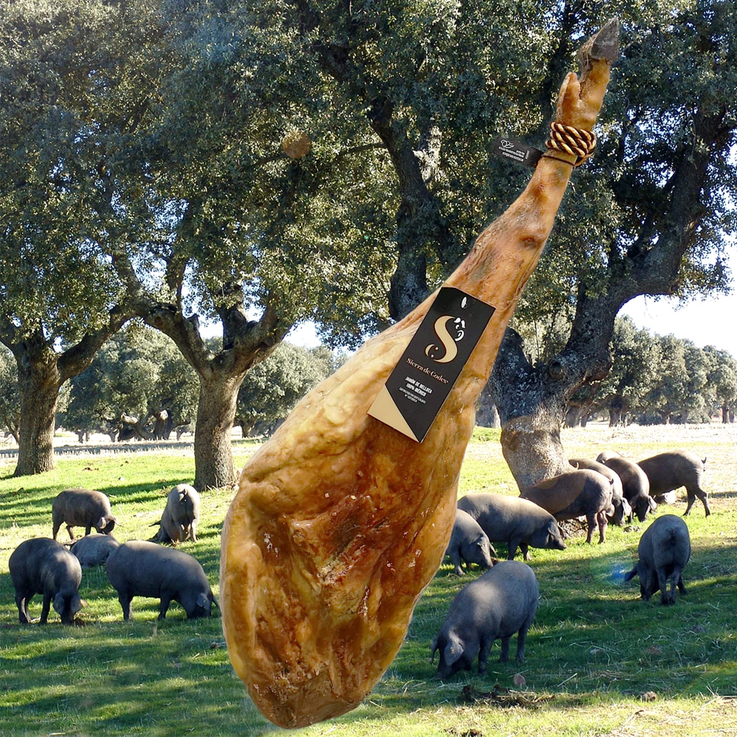 Jamón ibérico 100% de Bellota, auténtico PATA NEGRA. Peso entre 6 y 7 Kg.