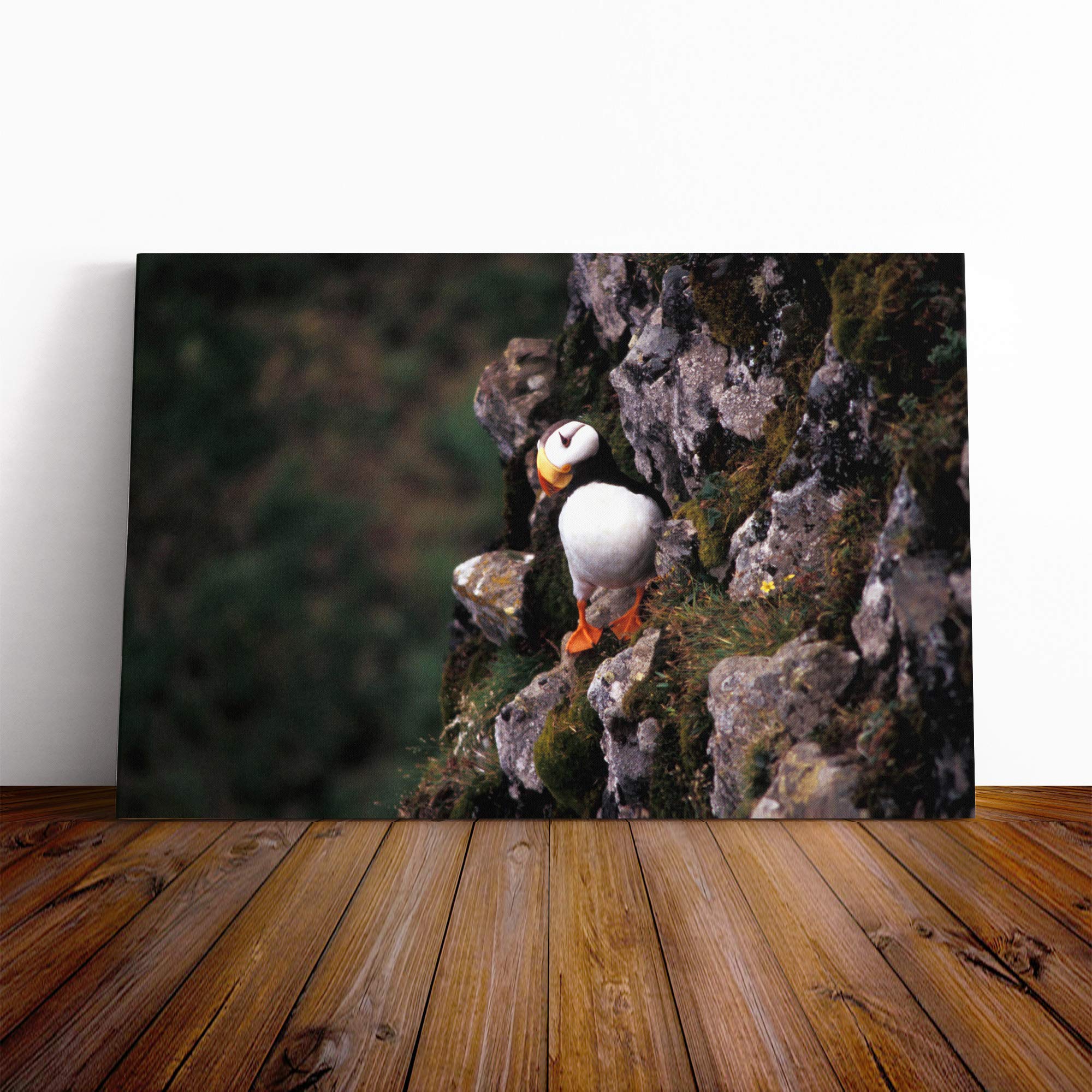 Atlantic Puffin (2) Canvas Print | Gallery Wrapped 30mm Frame Wall Art | 24x16 inches | Ready to Hang | Modern Picture | Living Room Bedroom Lounge Office