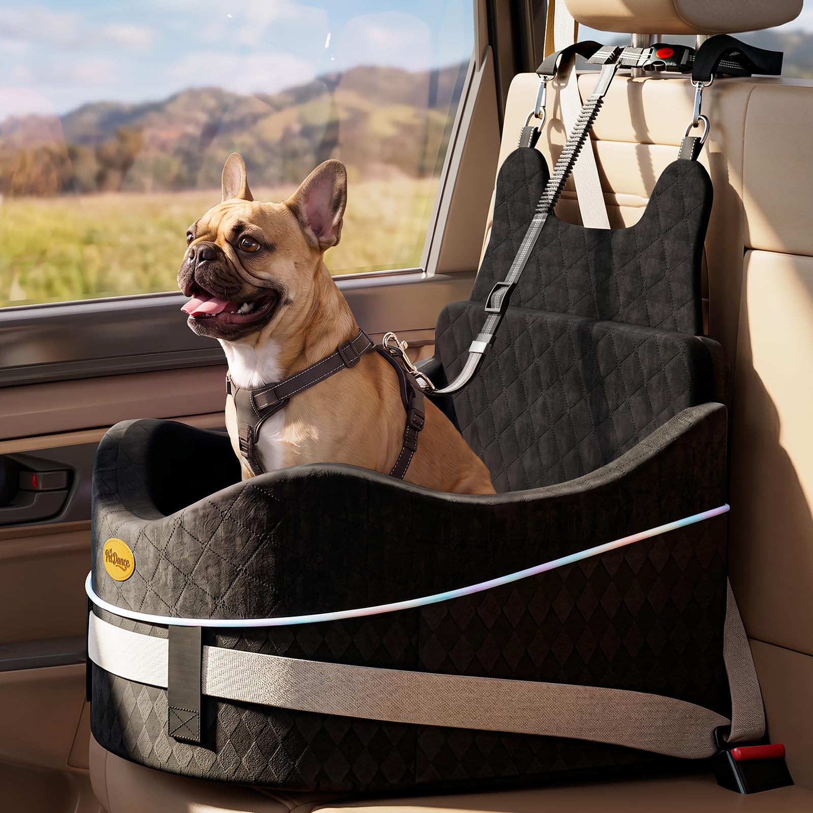 【Extra geräumiger & gemütlicher】 Hundeautositz für mittlere & kleine Hunde