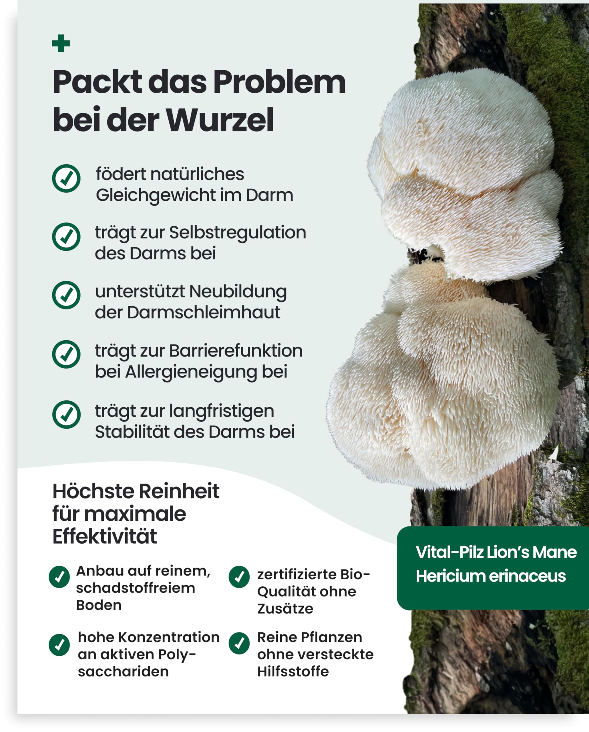 PAWSAN Darmwohl Bio Darmkur Hund – Alternative zu Probiotika – Gras und Kotfresser Drops – Sodbrennen Hund, Durchfall, Blähungen – Darmflora Aufbauen mit Präbiotika – 100 Tabletten Made in Germany
