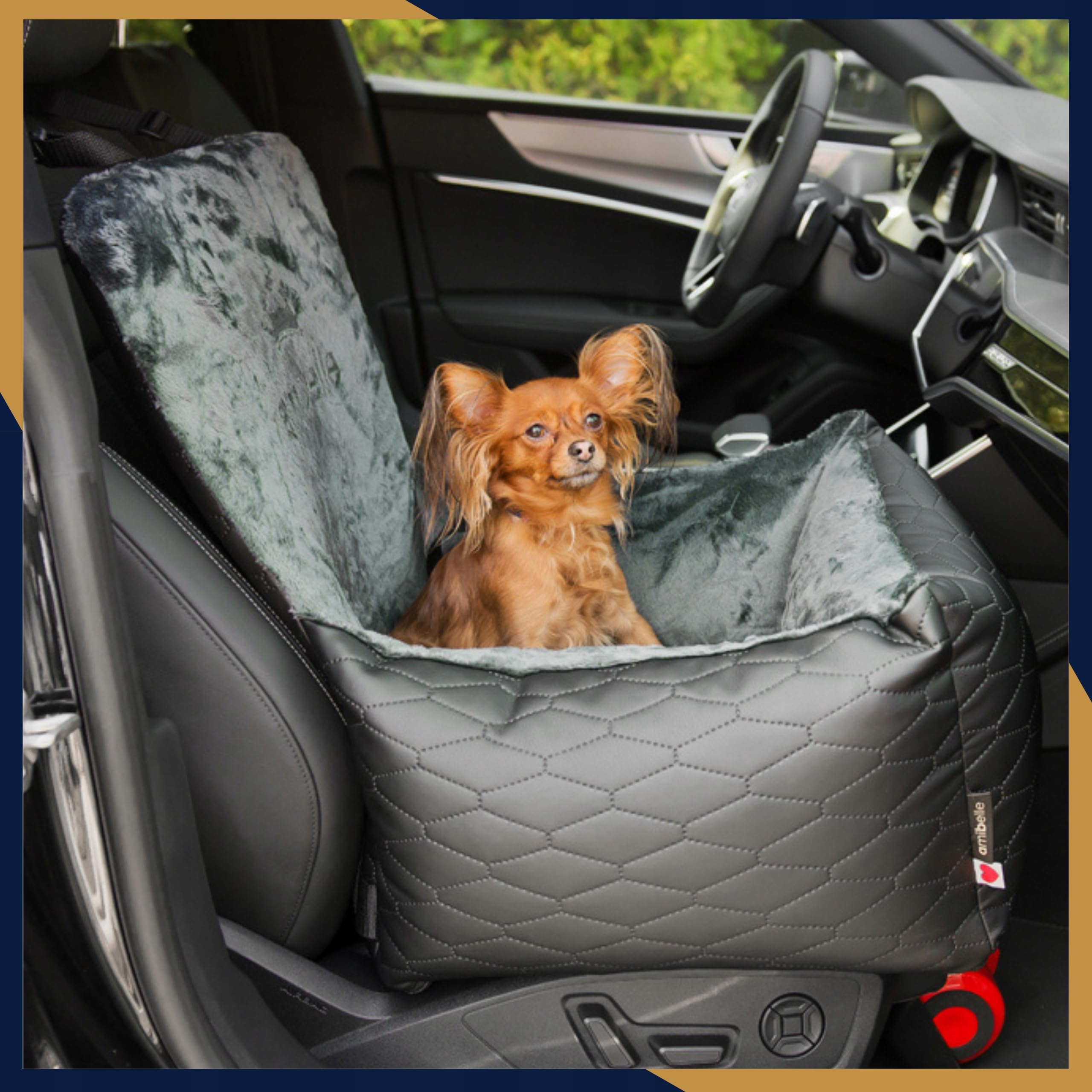 Hunde Autositz 50x50 cm Schwarz - 2in1 Sitz für Hund und Katze