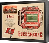 Vista 16 de YouTheFan NFL Arte de Pared StadiumView de 25 Capas