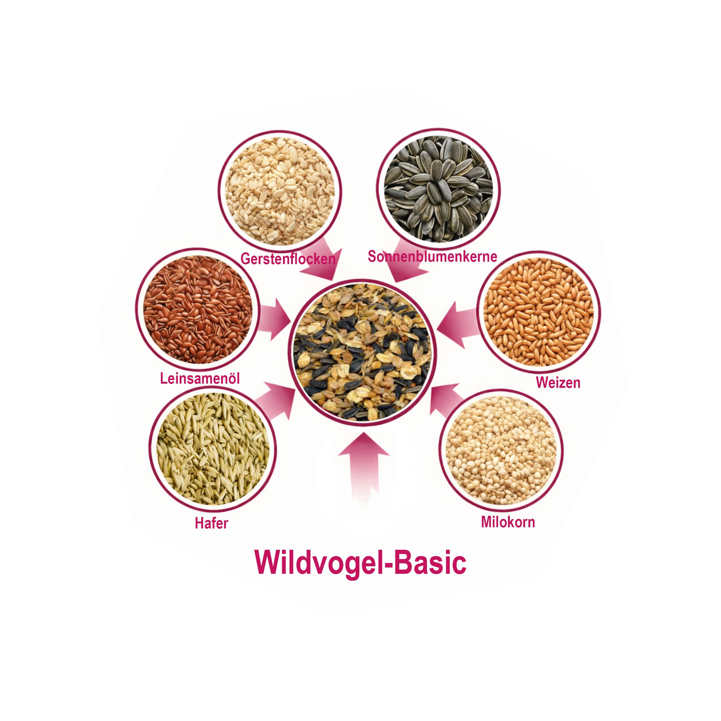 MeinWildvogel - Wildvogel-Vital Basic - Vogelfutter 30 kg XXL - Wildvogelfutter - Streufutter - Ganzjahresfutter für Vögel mit Sonnenblumenkernen - Gentechnikfrei & Ambrosia-kontrolliert