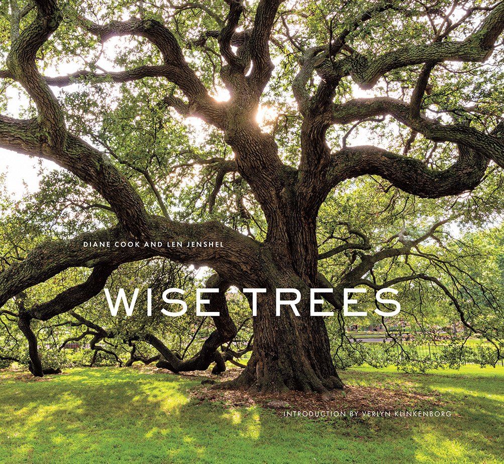 Wise Trees: Ancient trees photographed worldwide, each holding centuries of history in gnarled bark and roots.