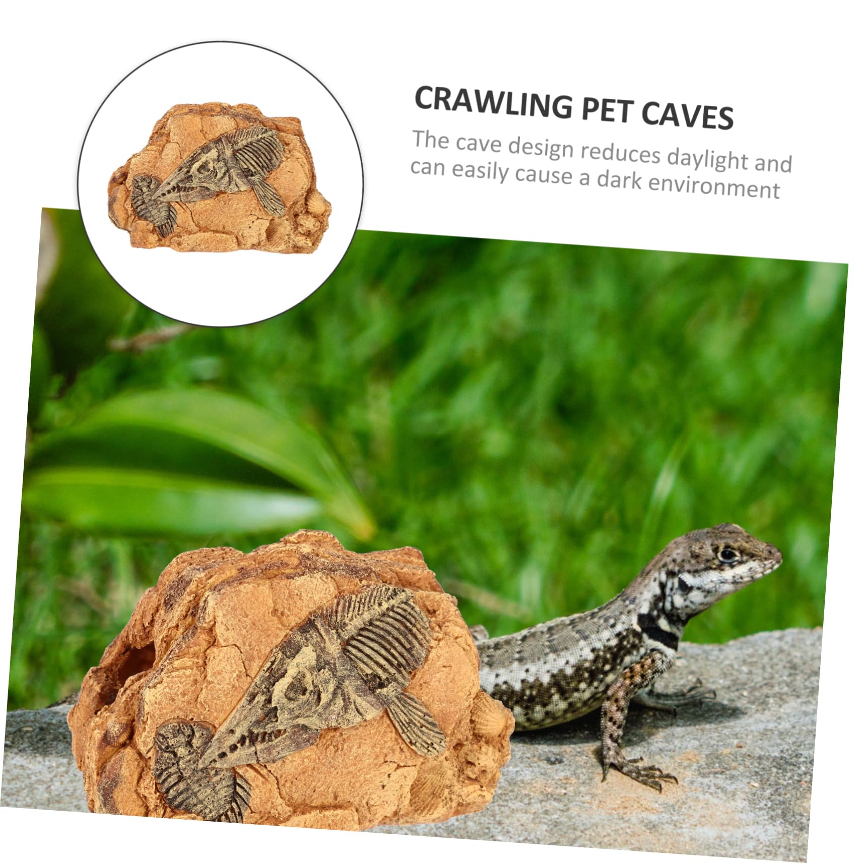 Reptilien Versteckhöhle für Terrarien aus Kunstharz, Kleine Höhle | Stain Resistant, Safe For Reptiles, Form Höhle, Passend für Reptilien im Terrarium