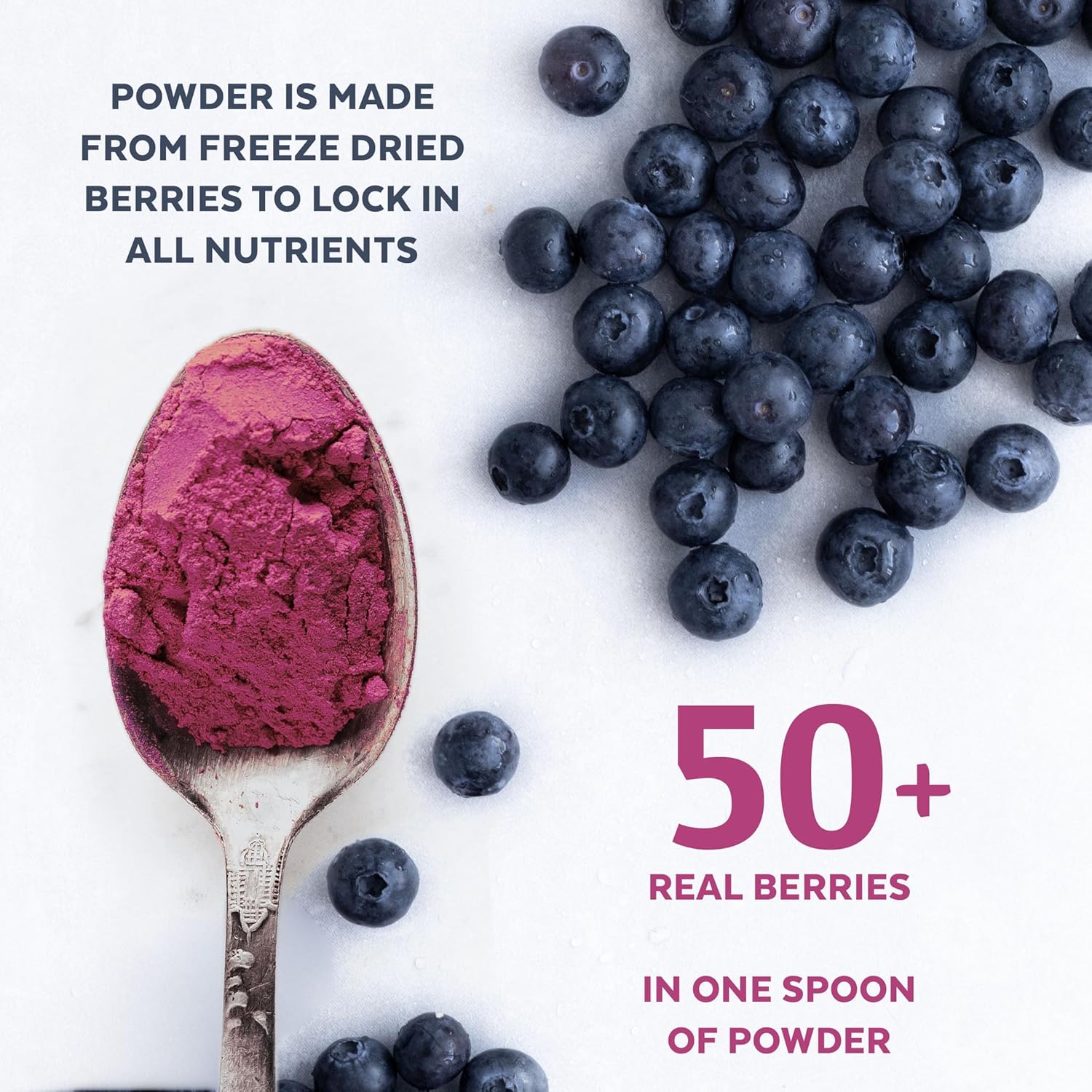 Wild Blueberry Powder Organic, USDA Certified, for Smoothies, Baking and Flavoring, Rich in Antioxidants and Vitamin C, Organic Blueberries are Handpicked from Nordic Forests and Freeze Dried, 6oz - Image 2