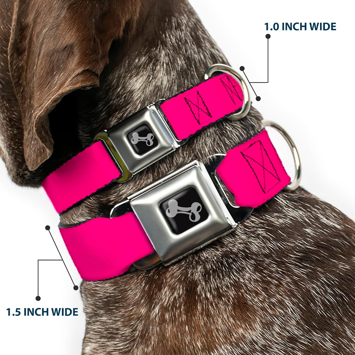 Dog Collar Seatbelt Buckle Neon Pink Print 9 to 15 Inches 1.0 Inch Wide