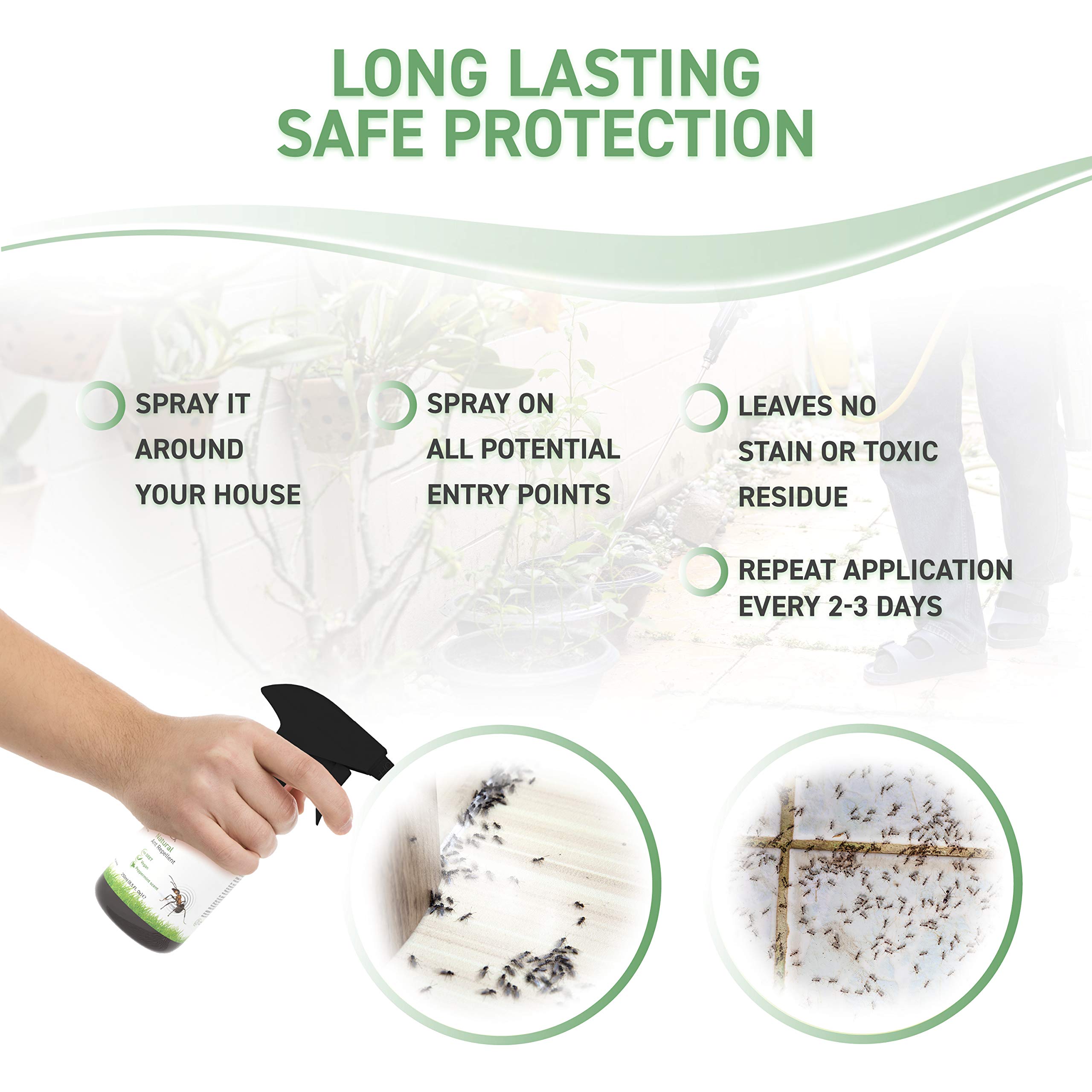 Buy RepellShield Ant Spray Indoors & Outdoor Insect Repellent Spray