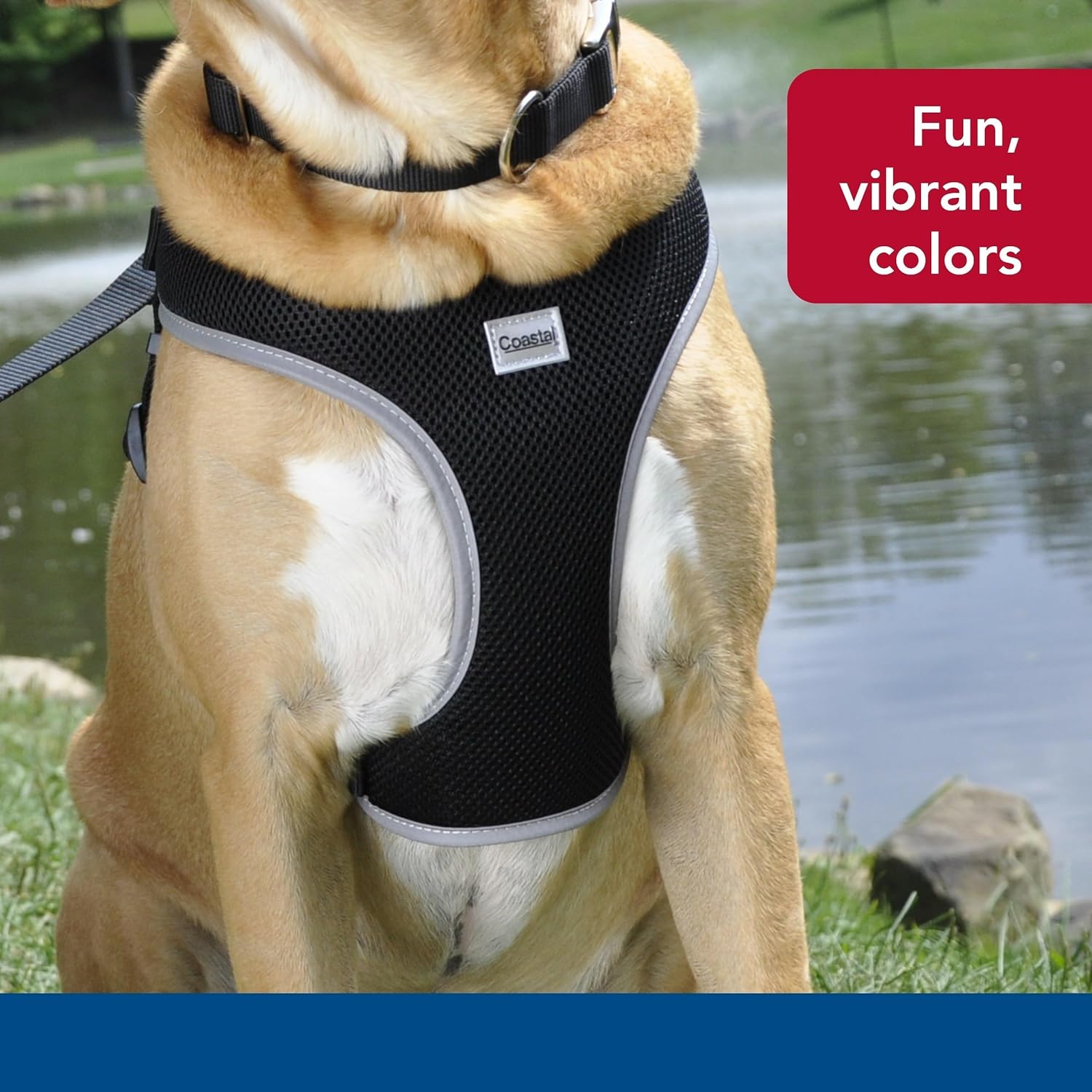 Coastal Pet Comfort Soft Reflective Wrap Adjustable Dog Harness - No-Pull Dog Harness for Small & Large Dogs - Black - 5/8" x 16"–19"