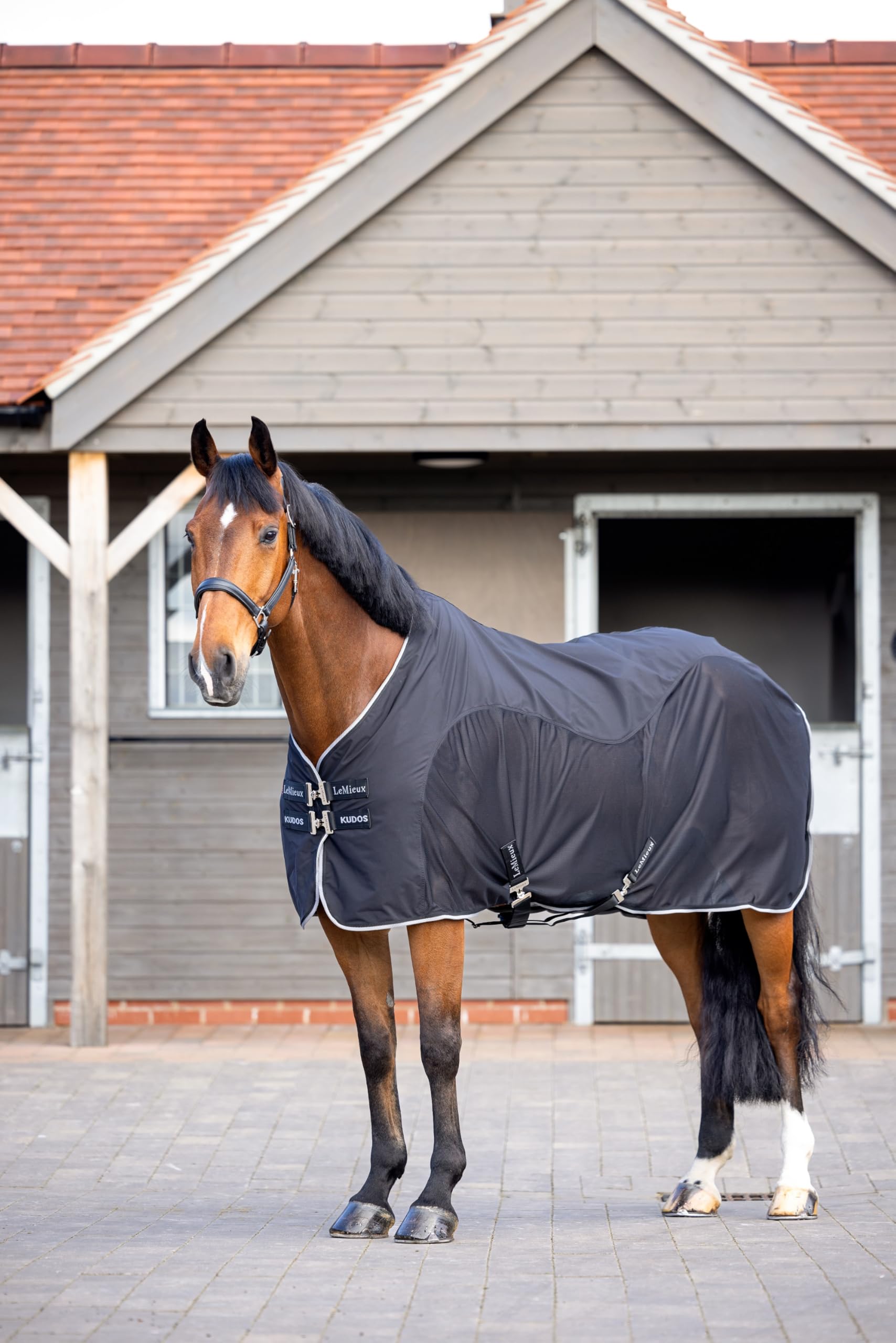 LeMieux Kudos Hybrid Cooler - Horse Rug - Soft Shell Upper and Mesh Lower - Black - 5ft9